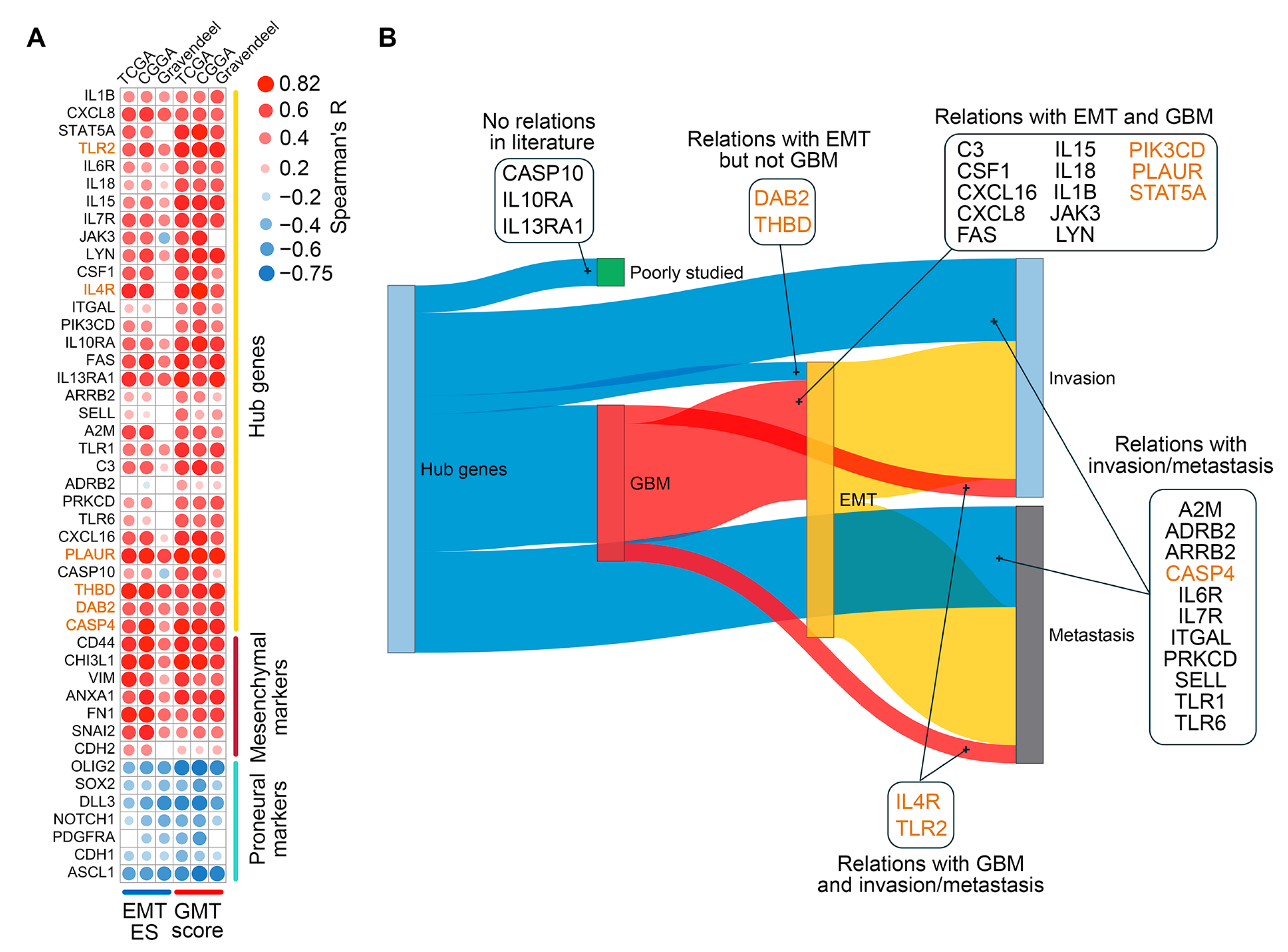 Ijms 26 09772 g005 Ijms 26 09772 g005