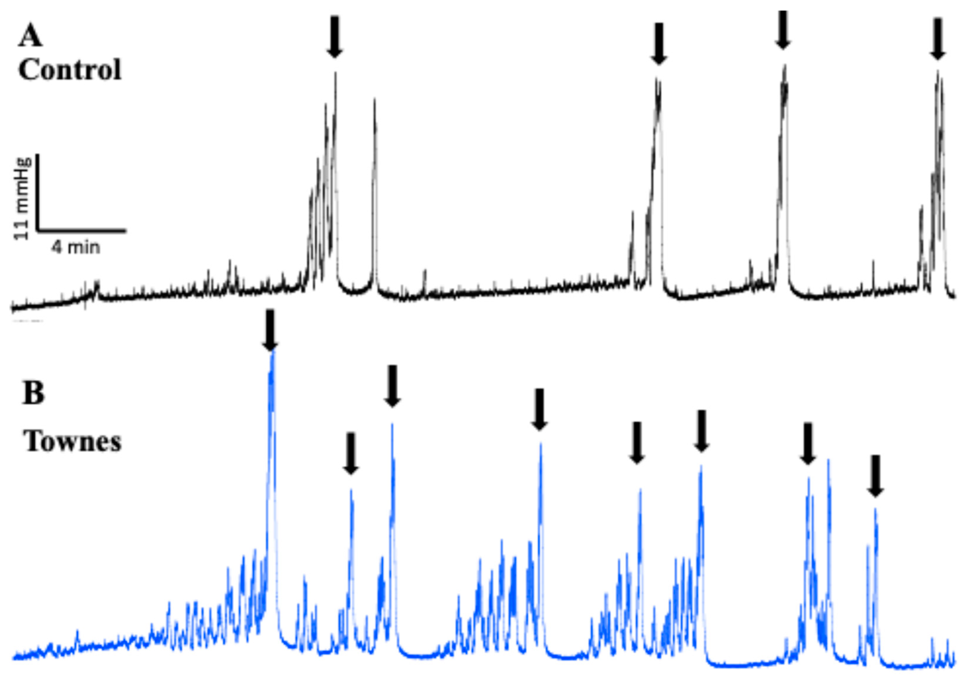 Ijms 26 09776 g001 Ijms 26 09776 g001