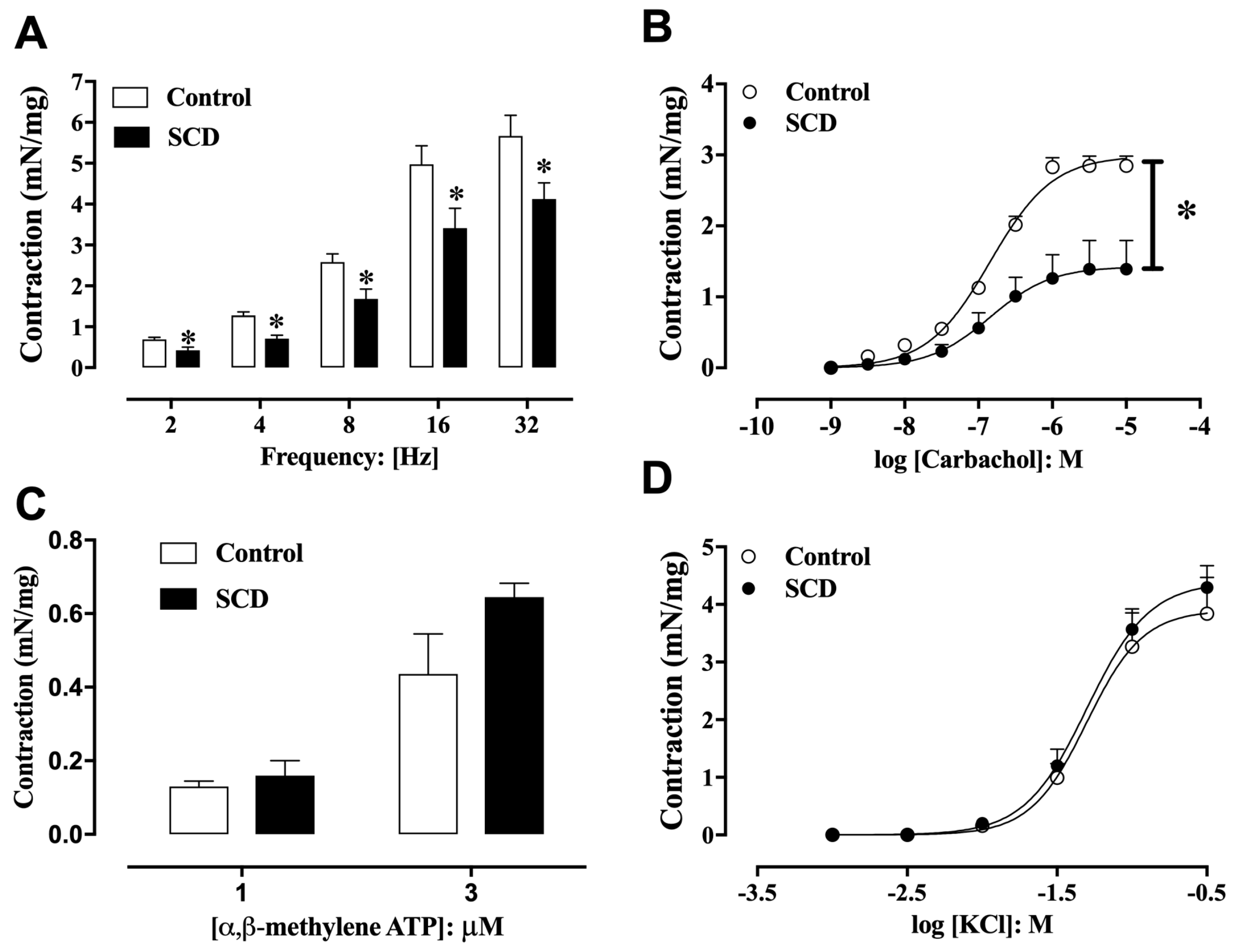 Ijms 26 09776 g003 Ijms 26 09776 g003