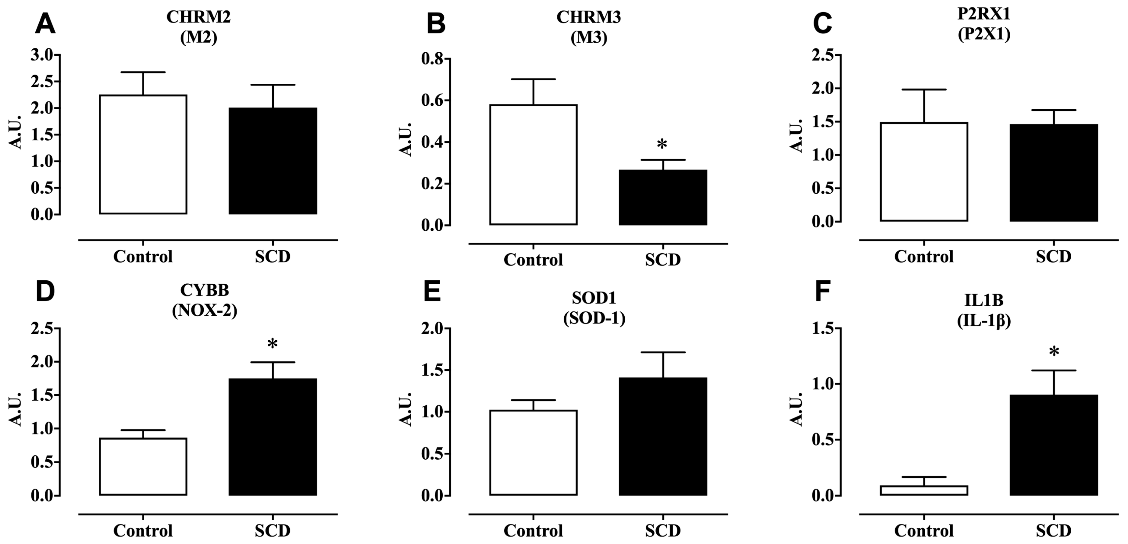 Ijms 26 09776 g004 Ijms 26 09776 g004