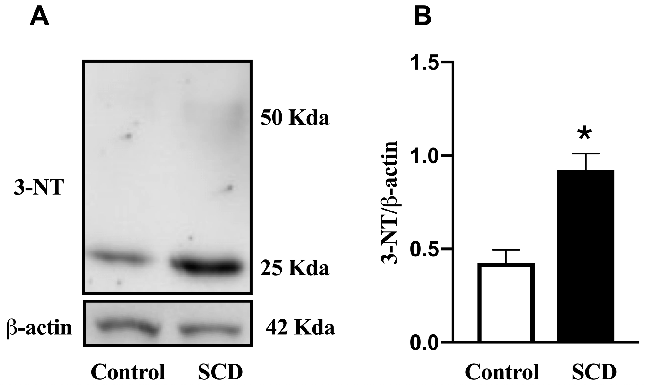Ijms 26 09776 g005 Ijms 26 09776 g005