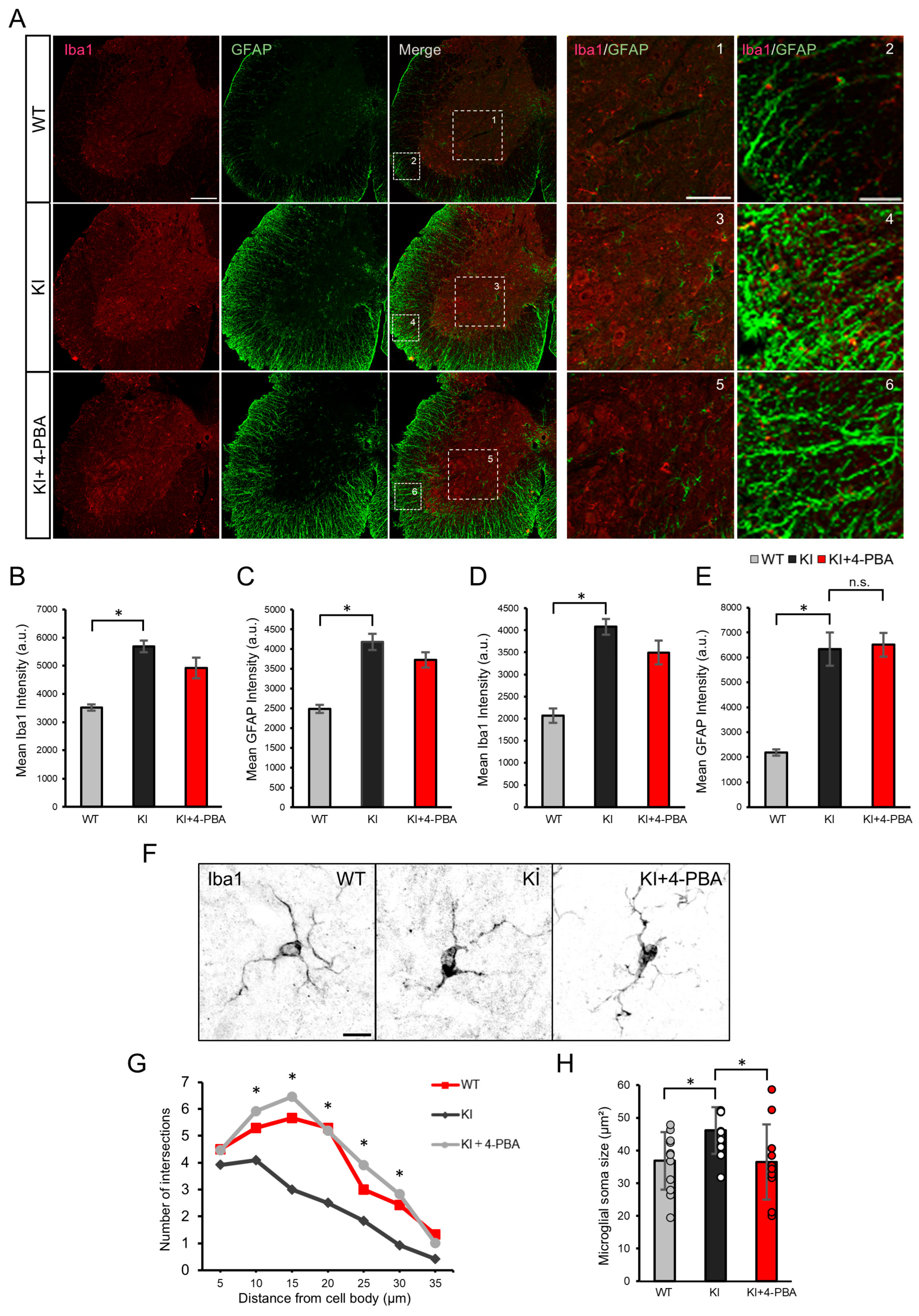 Ijms 26 09779 g002 Ijms 26 09779 g002