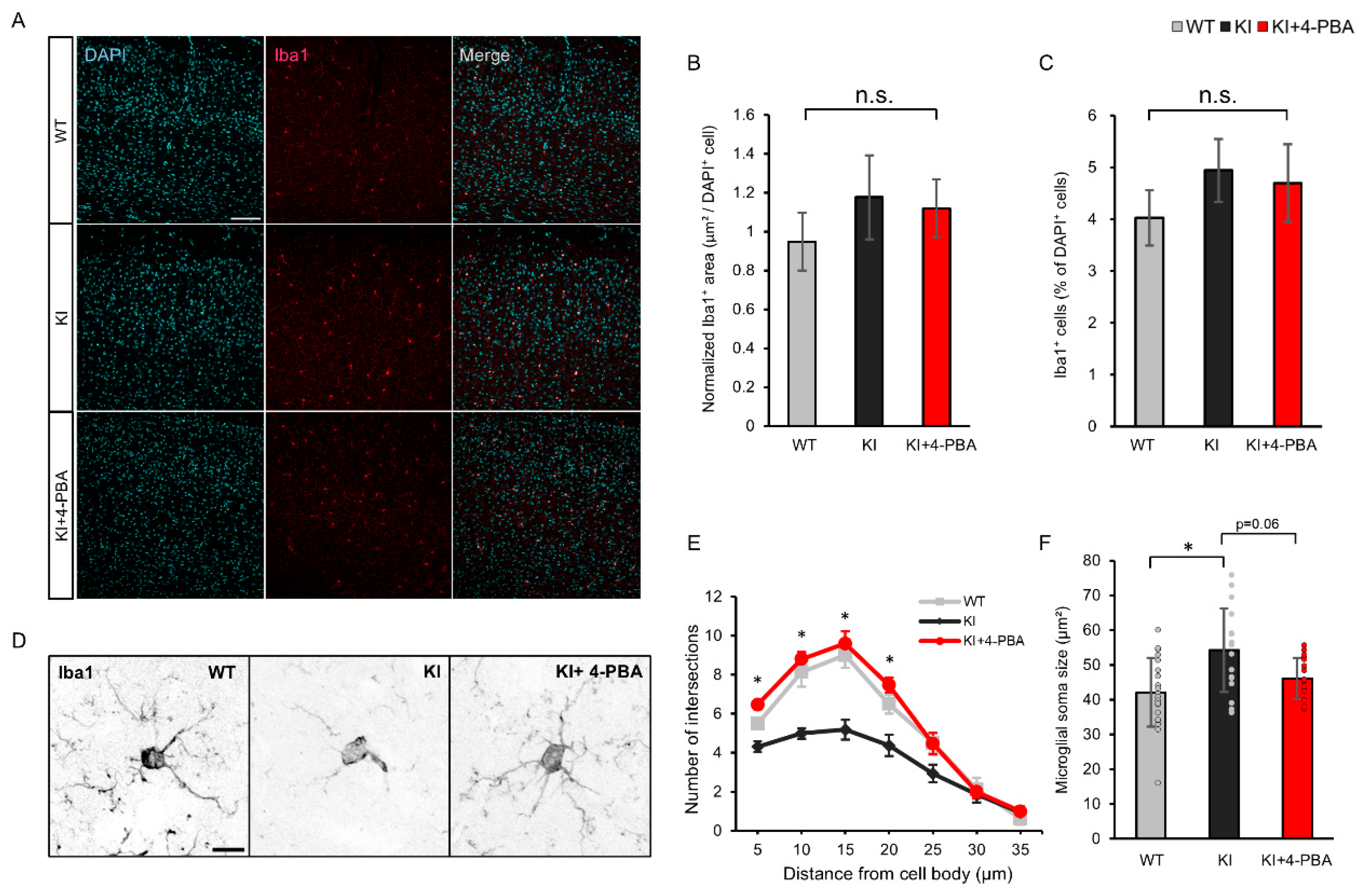 Ijms 26 09779 g003 Ijms 26 09779 g003