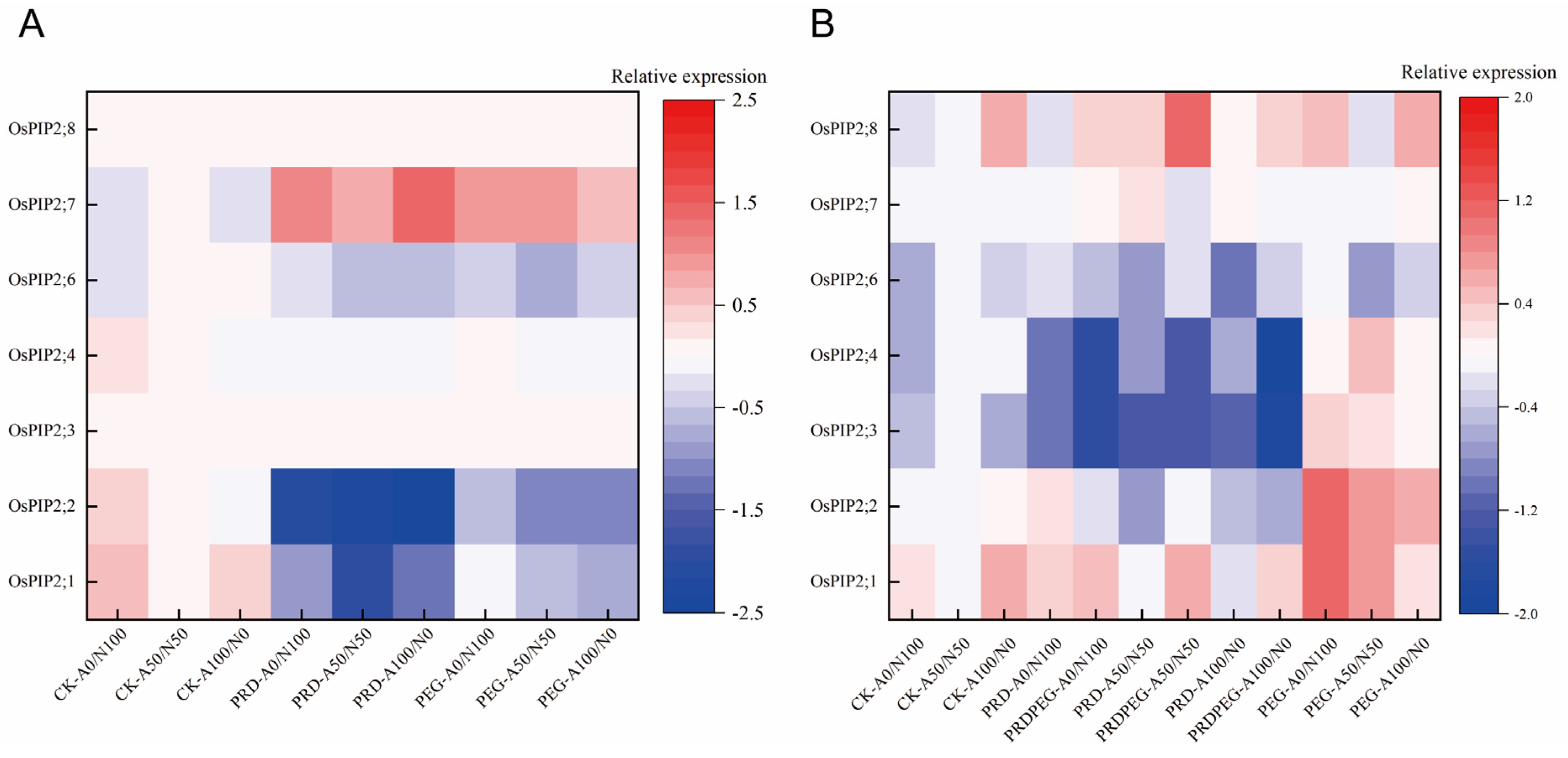 Ijms 26 09782 g001 Ijms 26 09782 g001