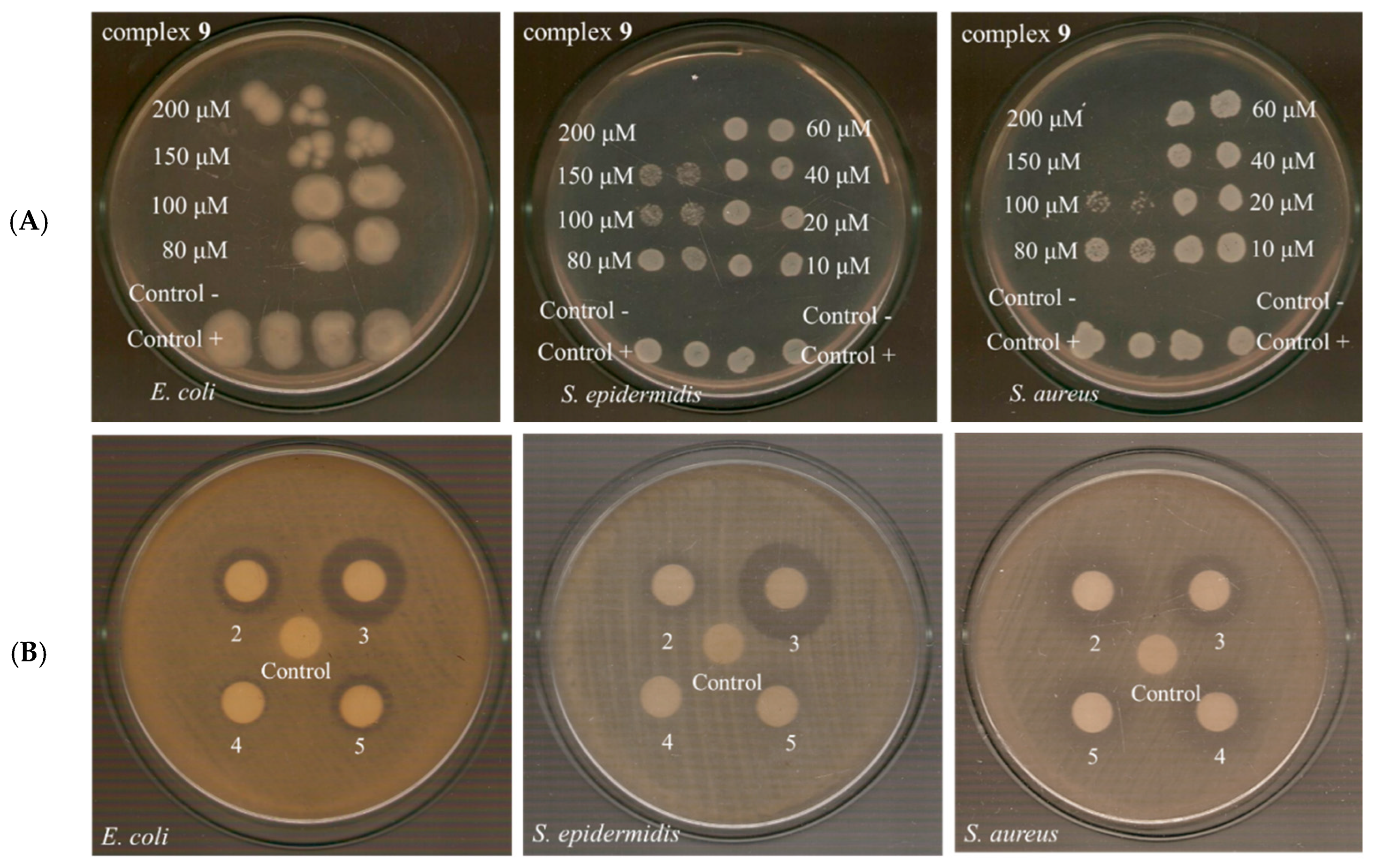 Ijms 26 09787 g004 Ijms 26 09787 g004