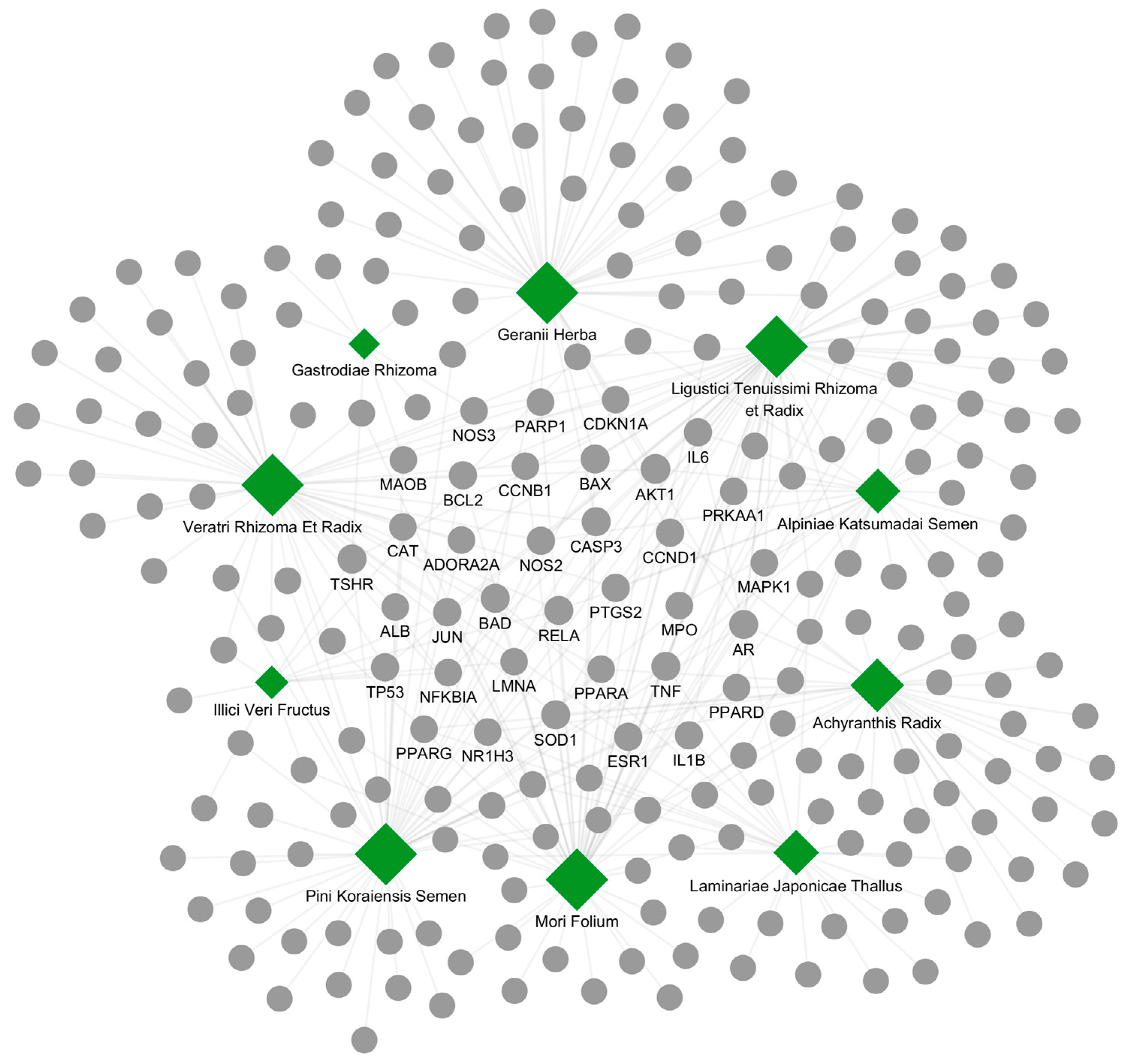 Ijms 26 09789 g002 Ijms 26 09789 g002