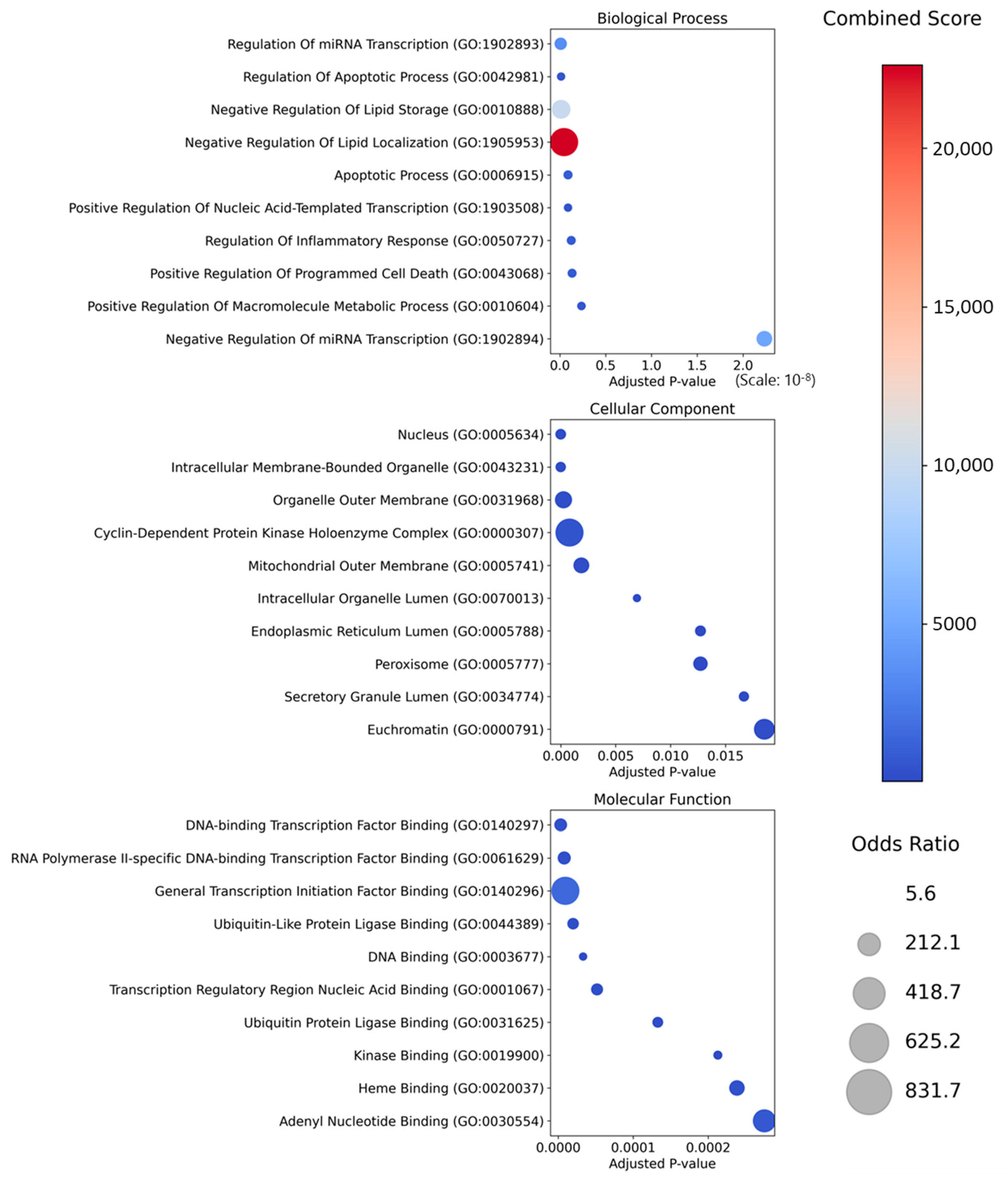 Ijms 26 09789 g003 Ijms 26 09789 g003