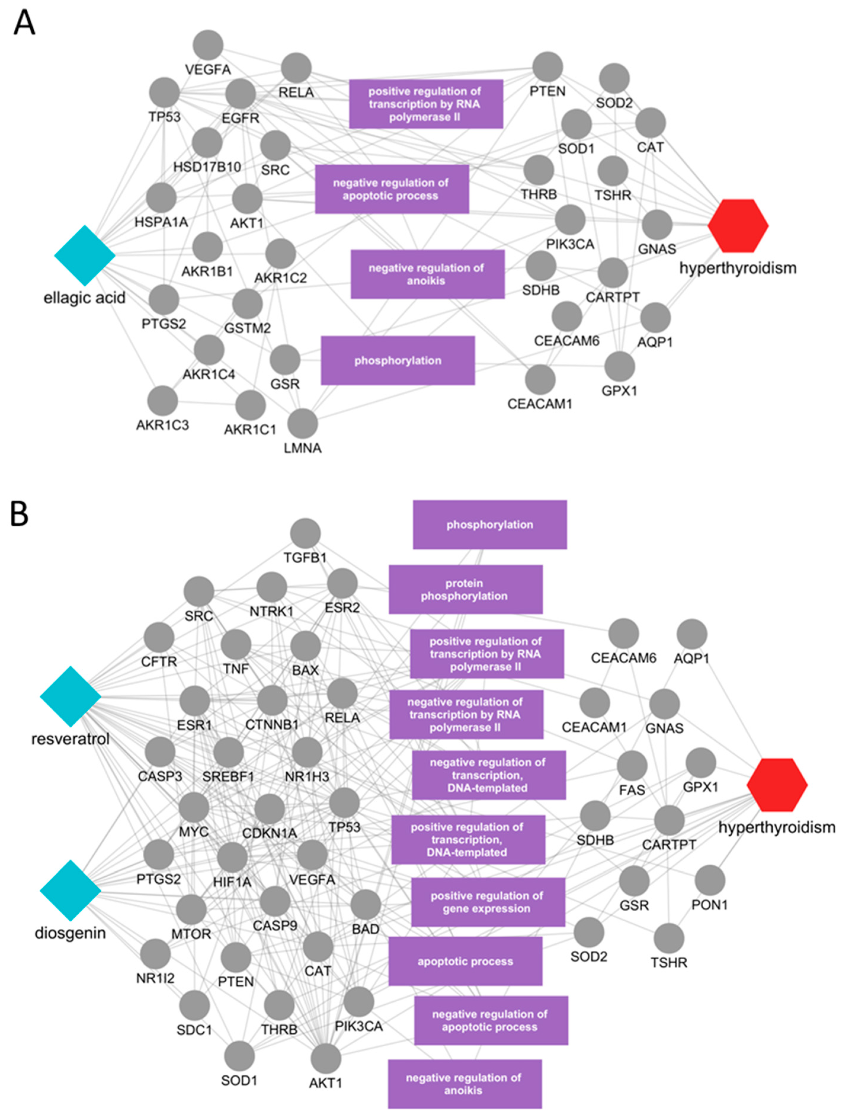 Ijms 26 09789 g004 Ijms 26 09789 g004