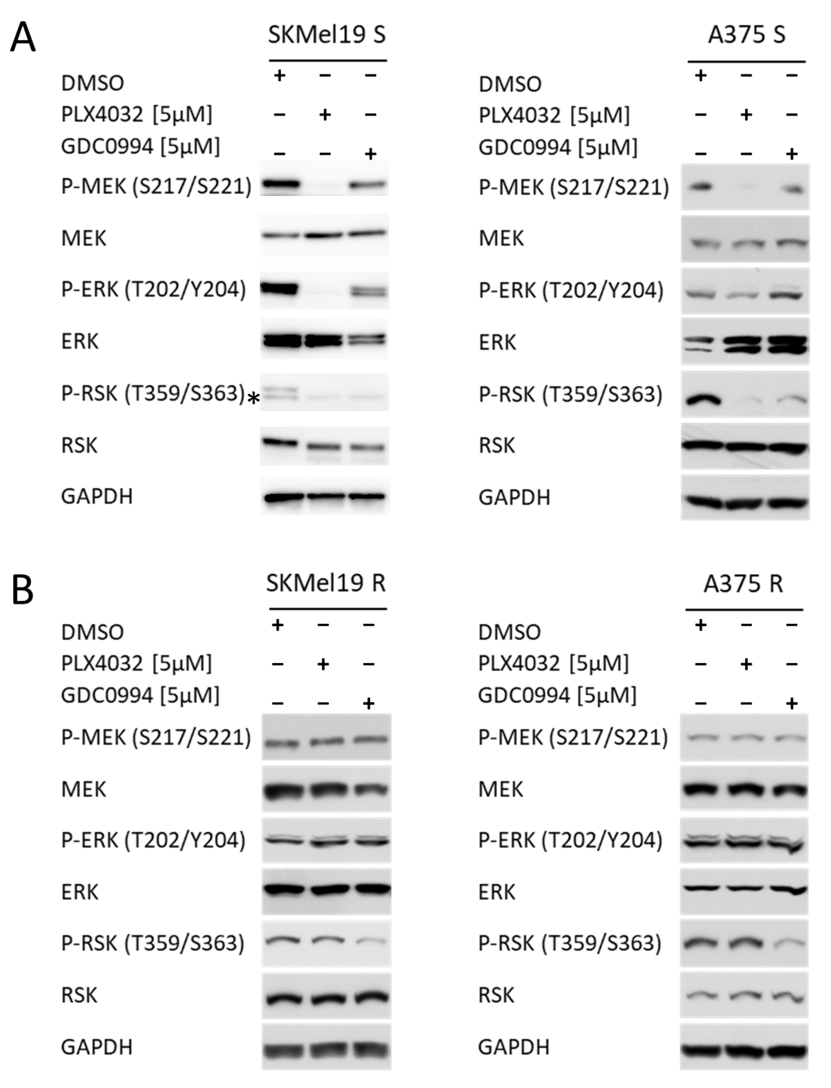 Ijms 26 09794 g001 Ijms 26 09794 g001