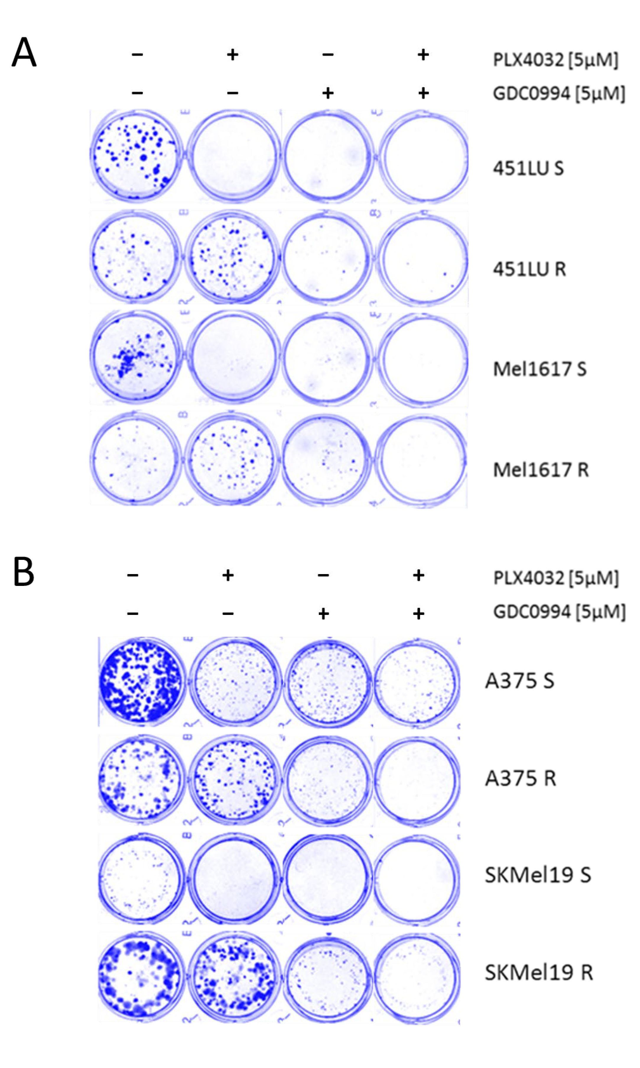 Ijms 26 09794 g003 Ijms 26 09794 g003