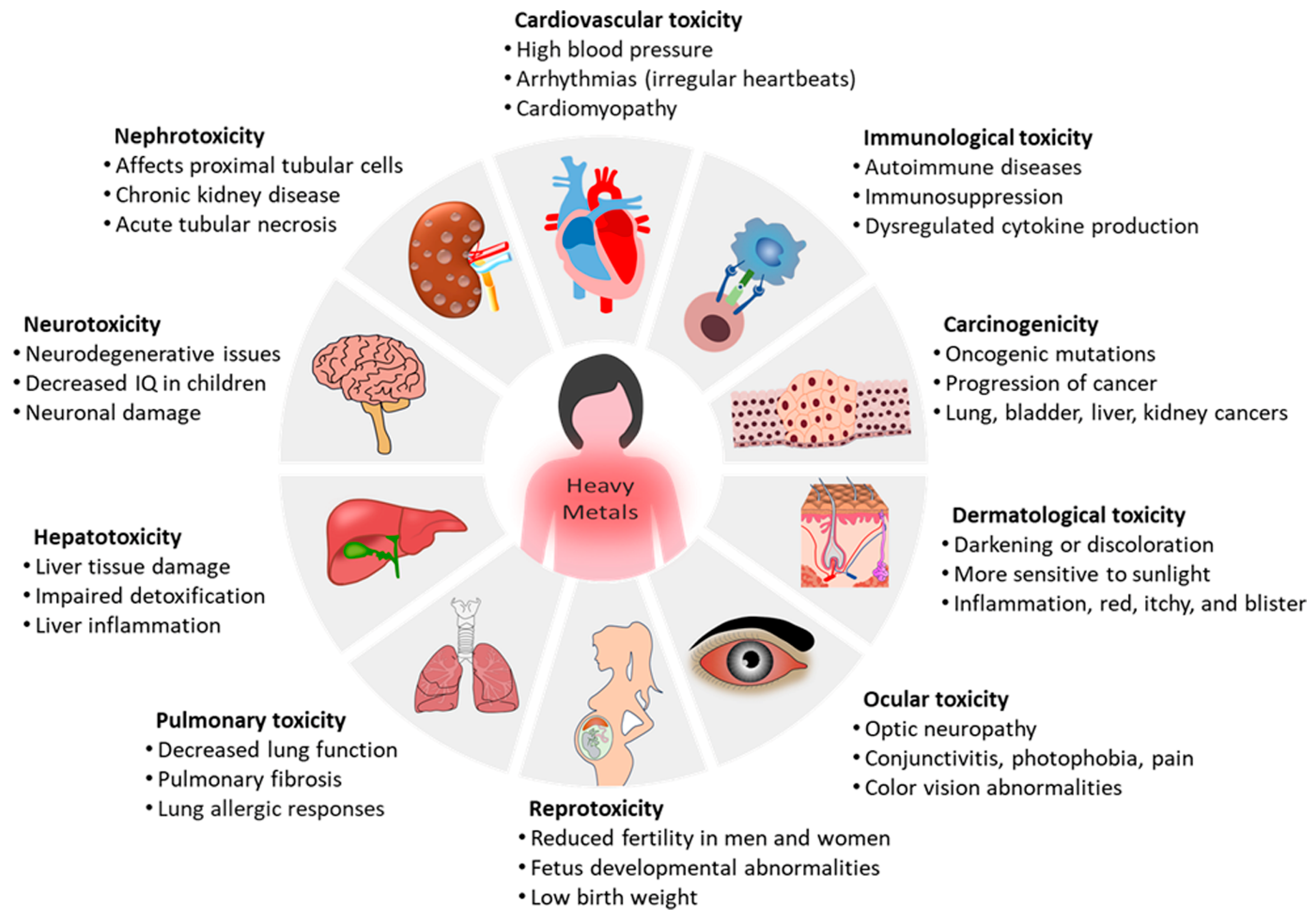 Ijms 26 09797 g001 Ijms 26 09797 g001