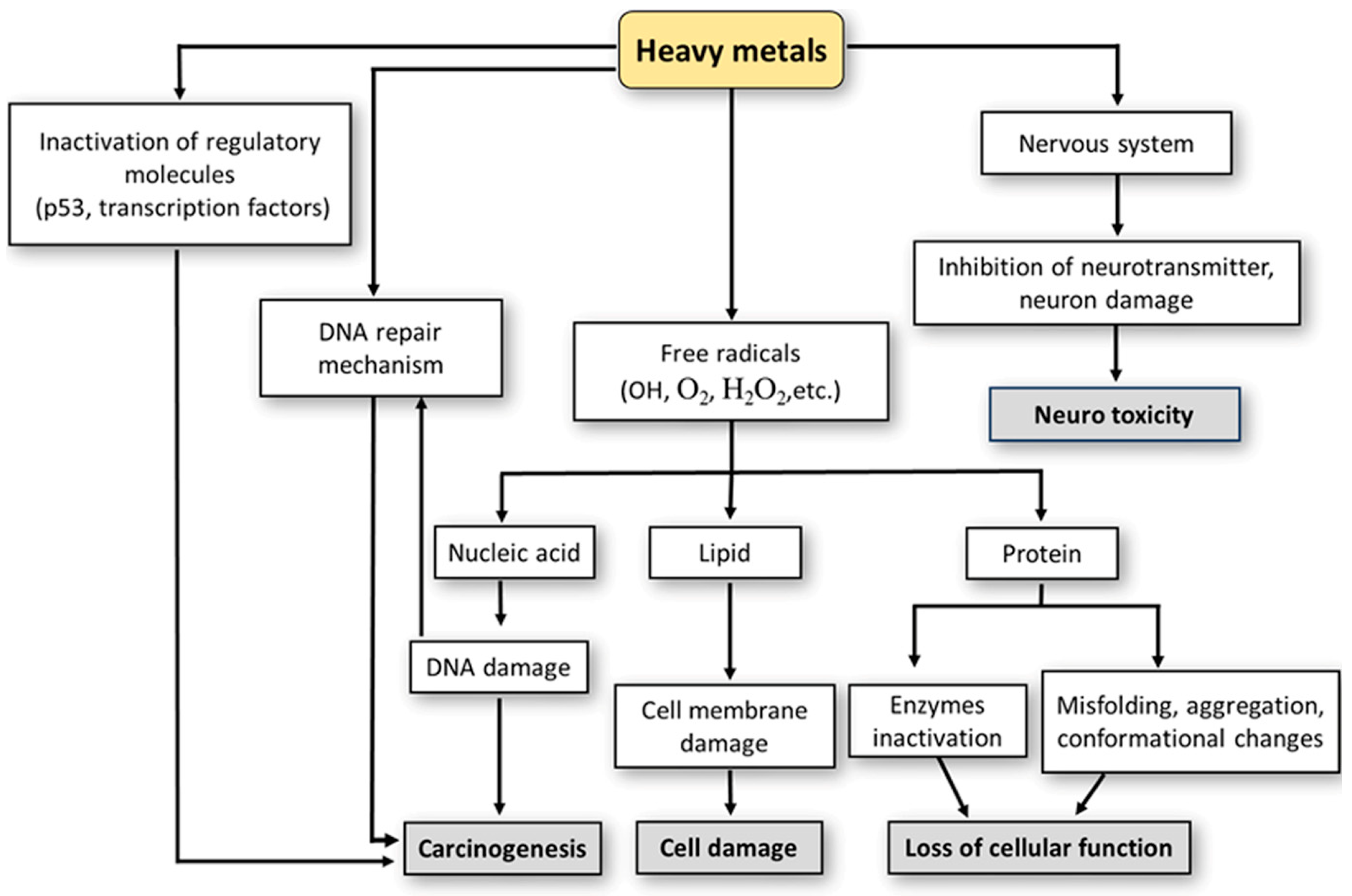 Ijms 26 09797 g003 Ijms 26 09797 g003