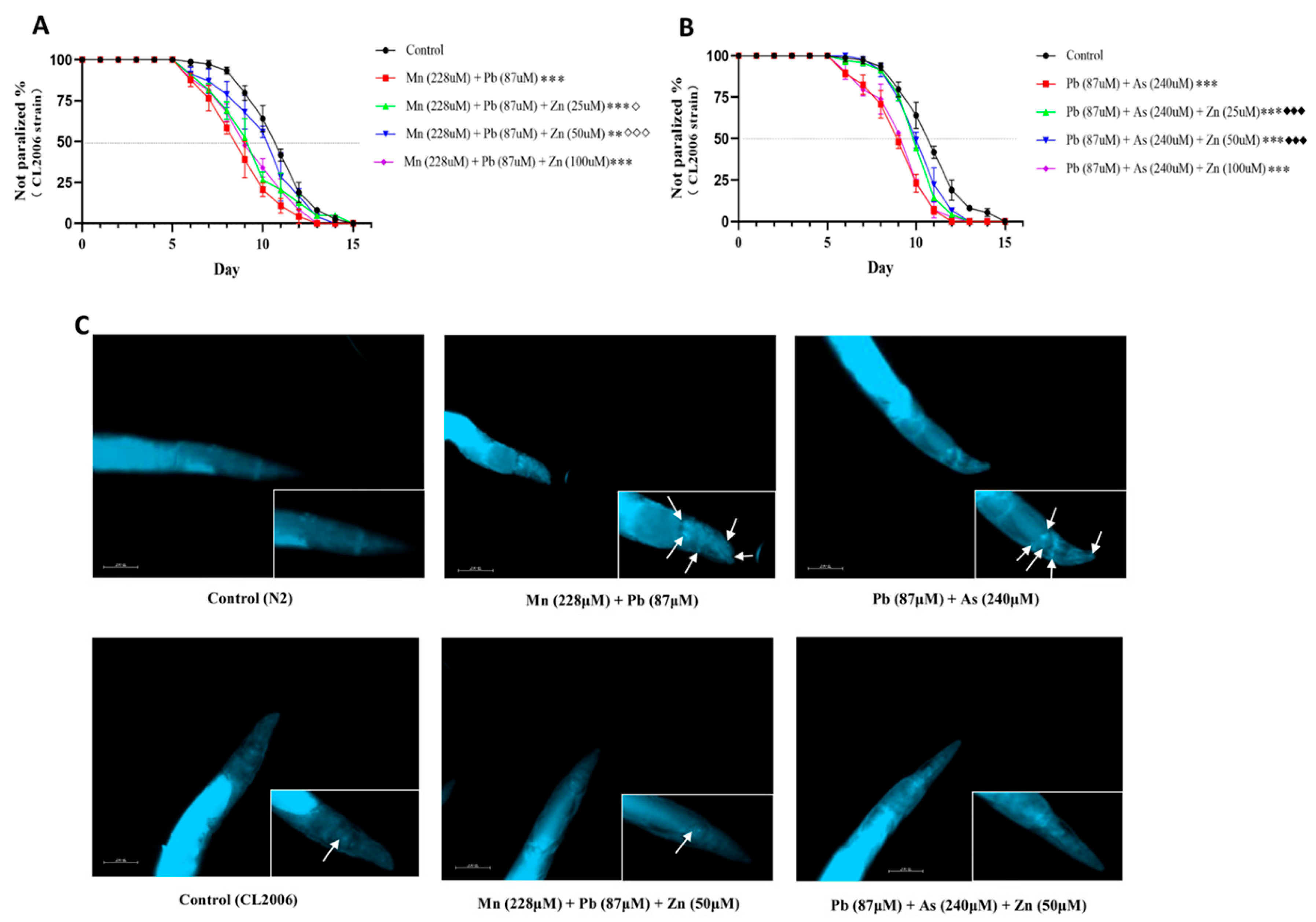 Ijms 26 09797 g007 Ijms 26 09797 g007