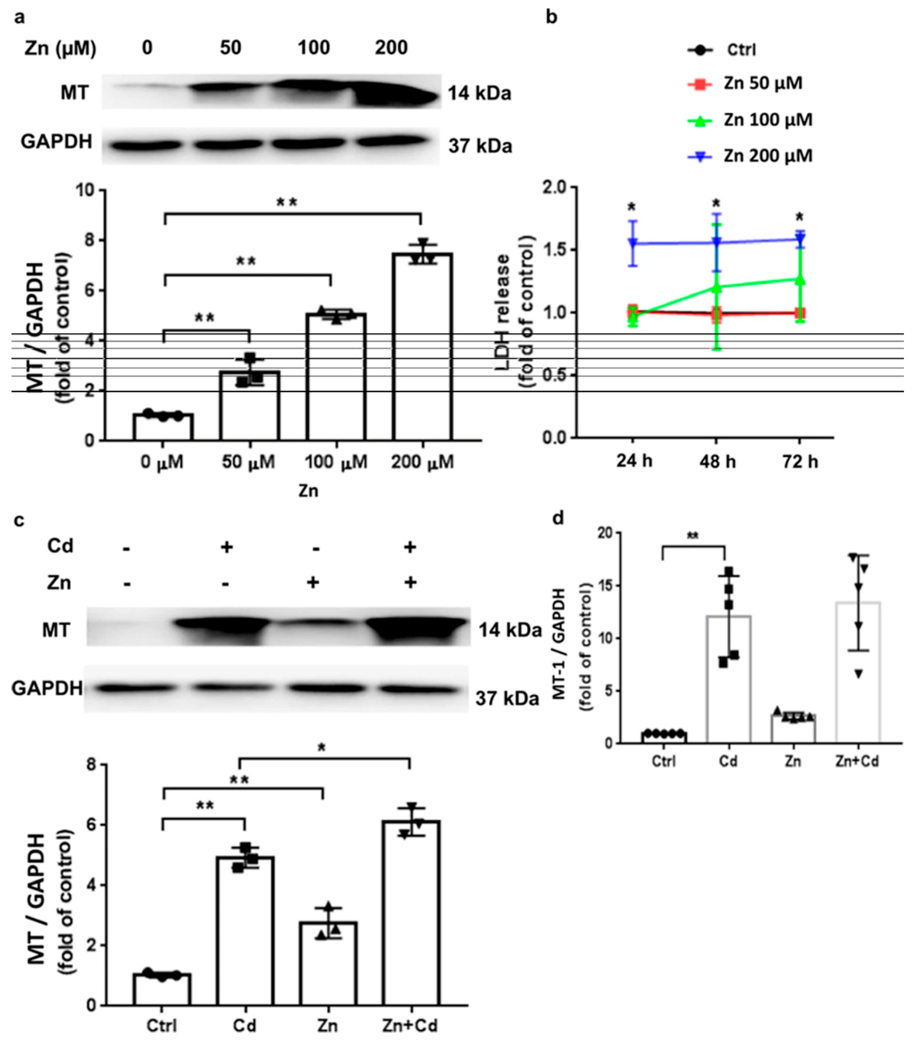 Ijms 26 09797 g010 Ijms 26 09797 g010