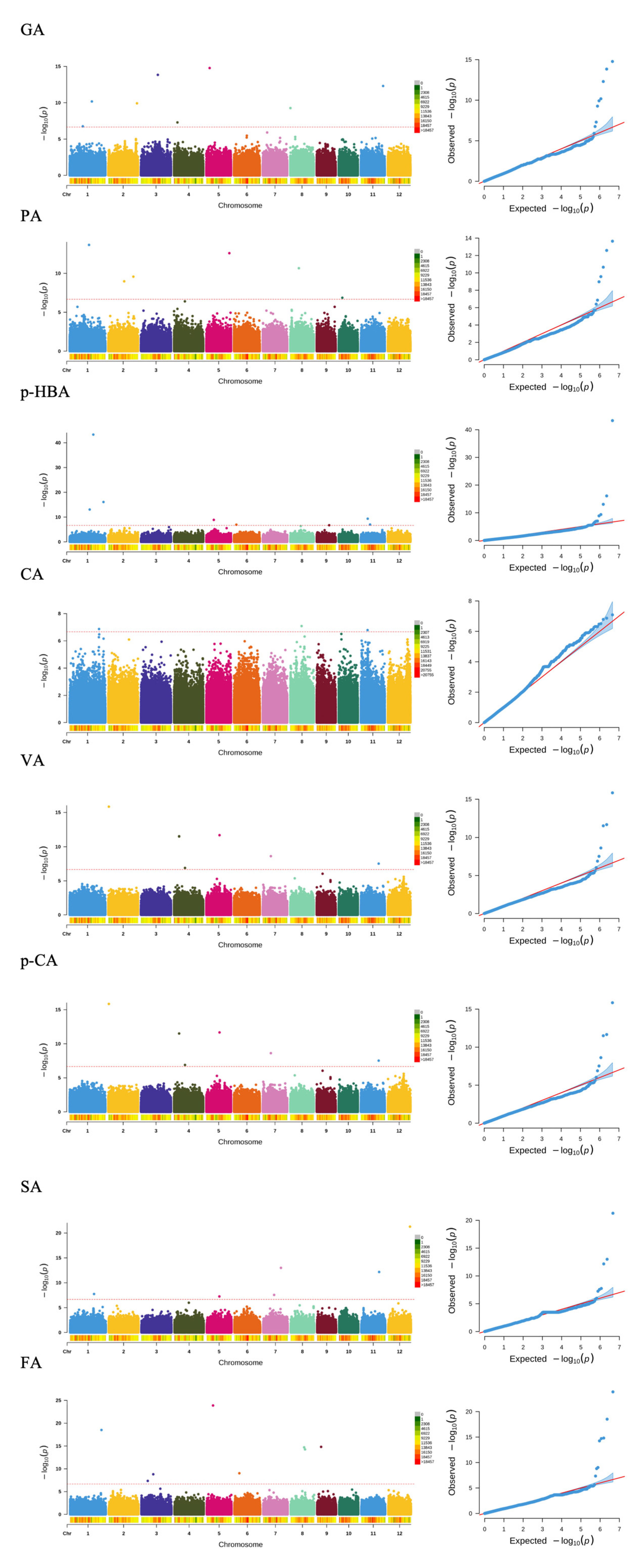 Ijms 26 09800 g002b Ijms 26 09800 g002b