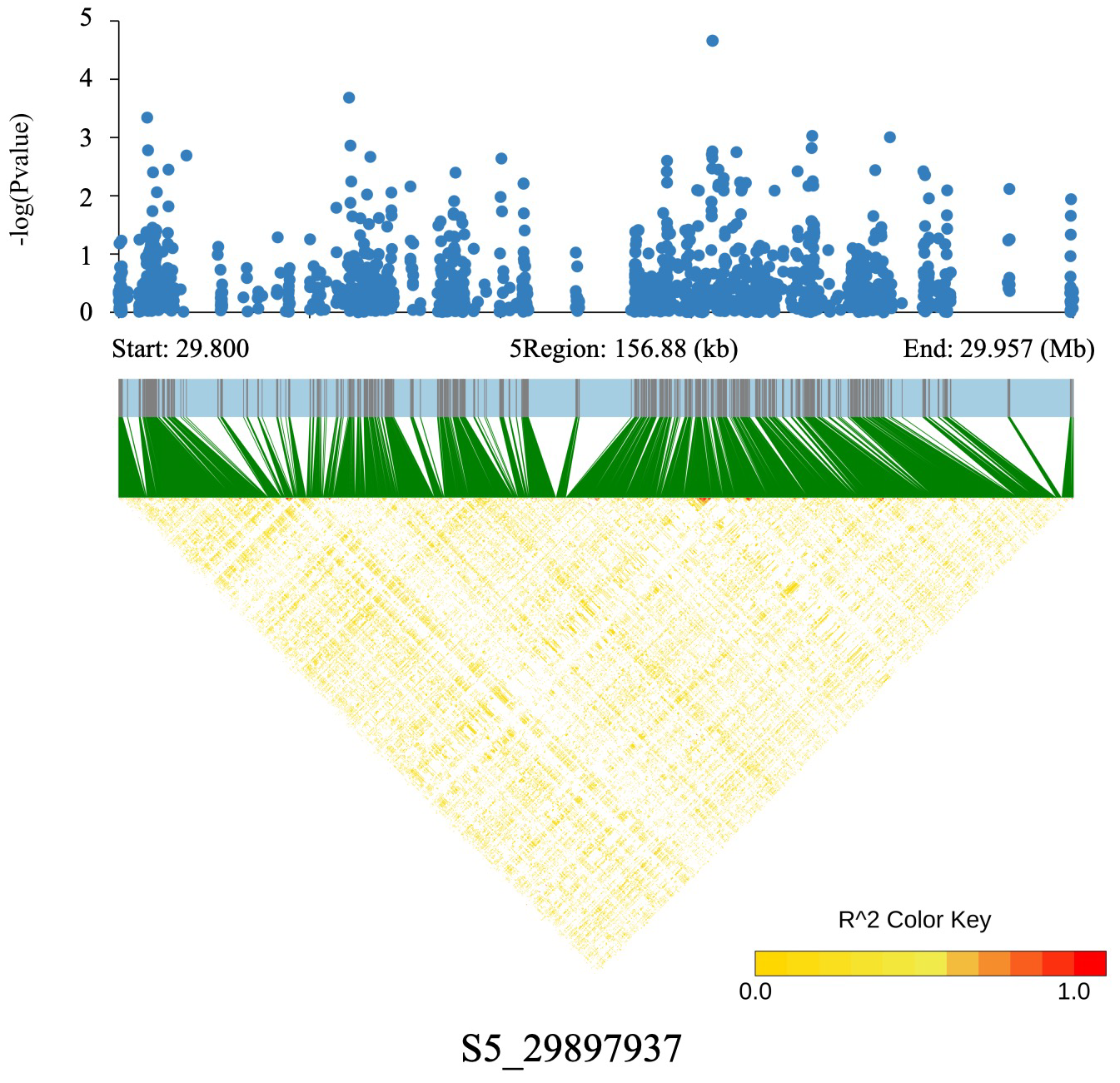 Ijms 26 09800 g004 Ijms 26 09800 g004