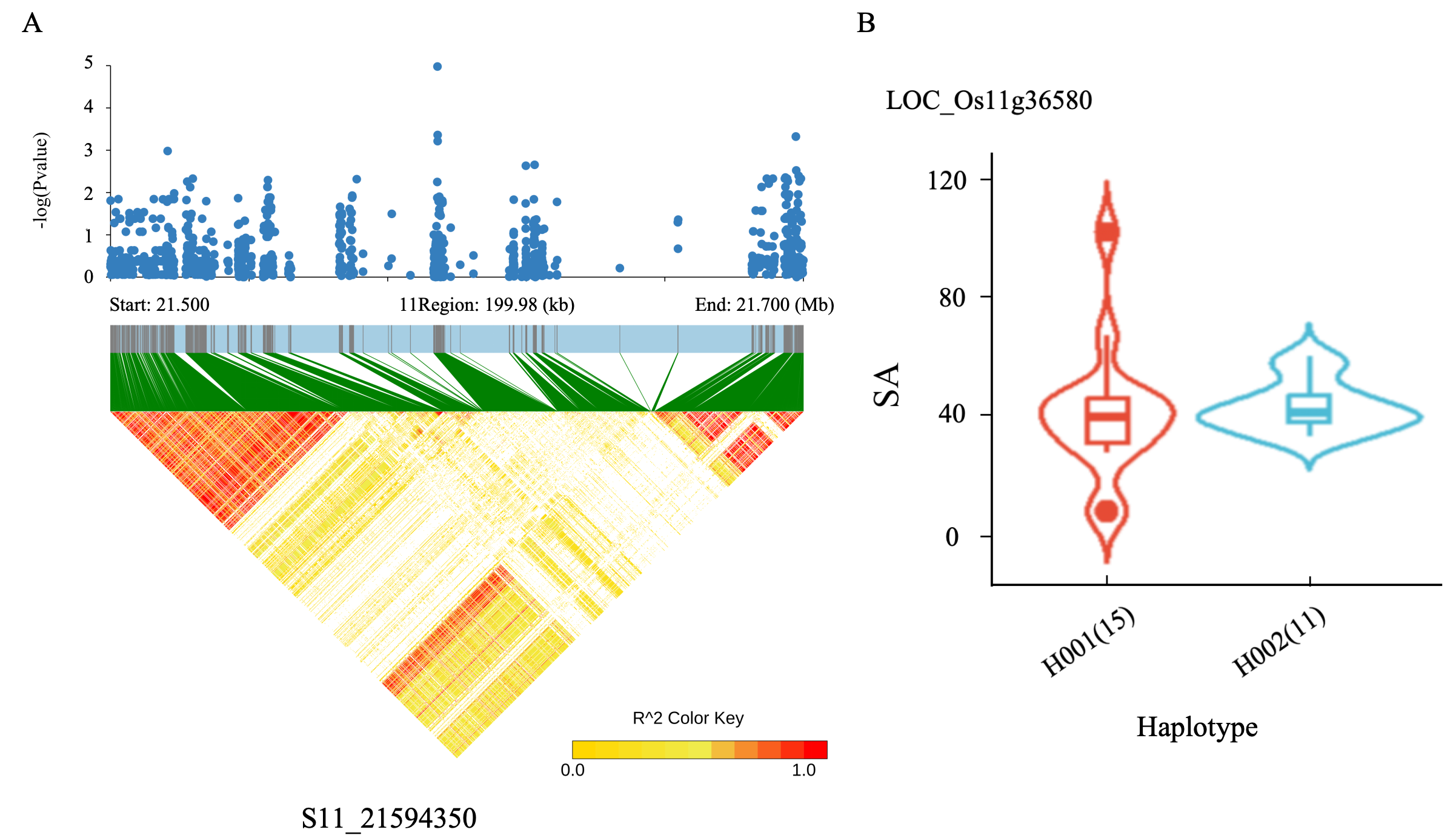 Ijms 26 09800 g005 Ijms 26 09800 g005