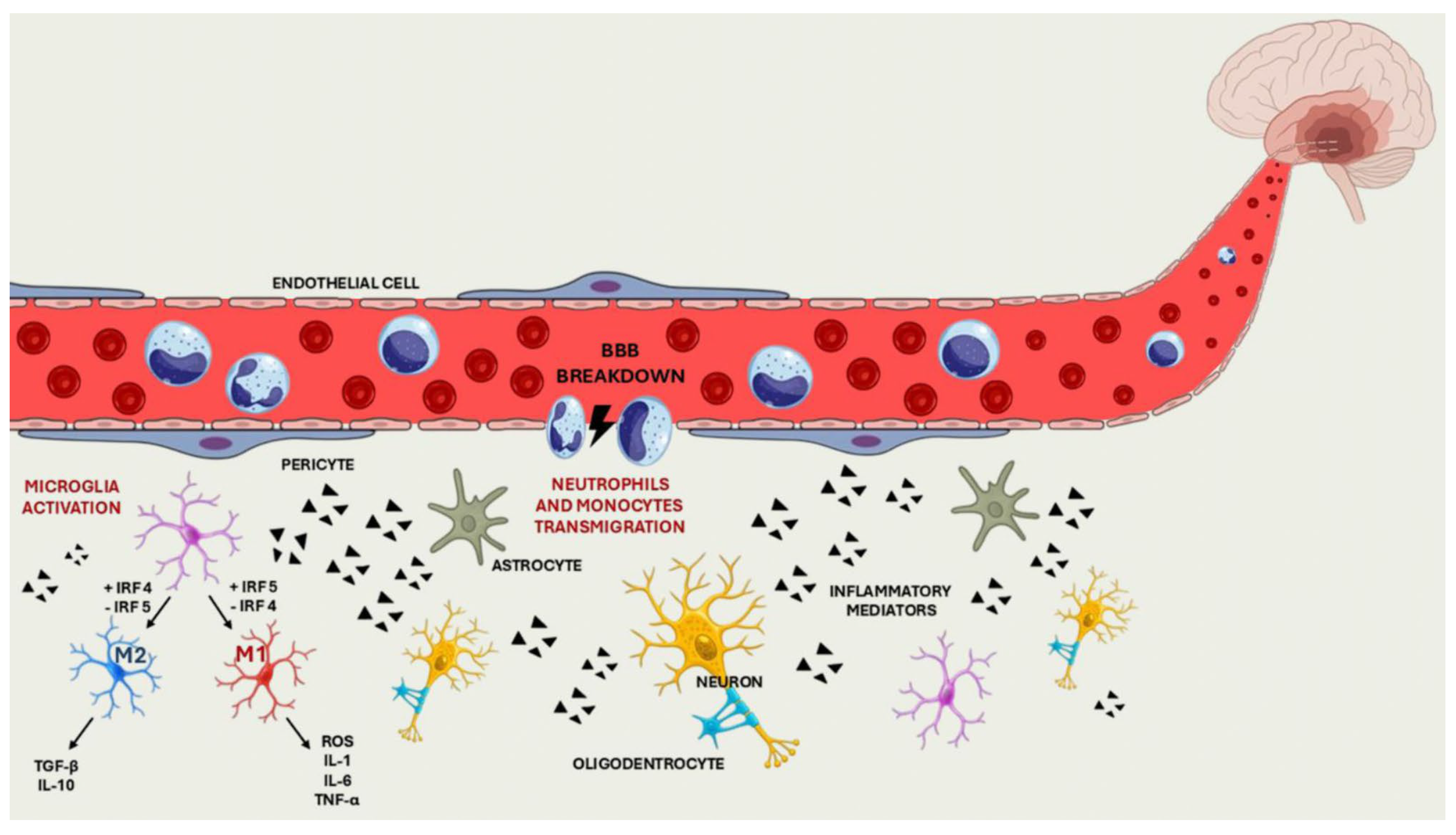 Ijms 26 09801 g001 Ijms 26 09801 g001