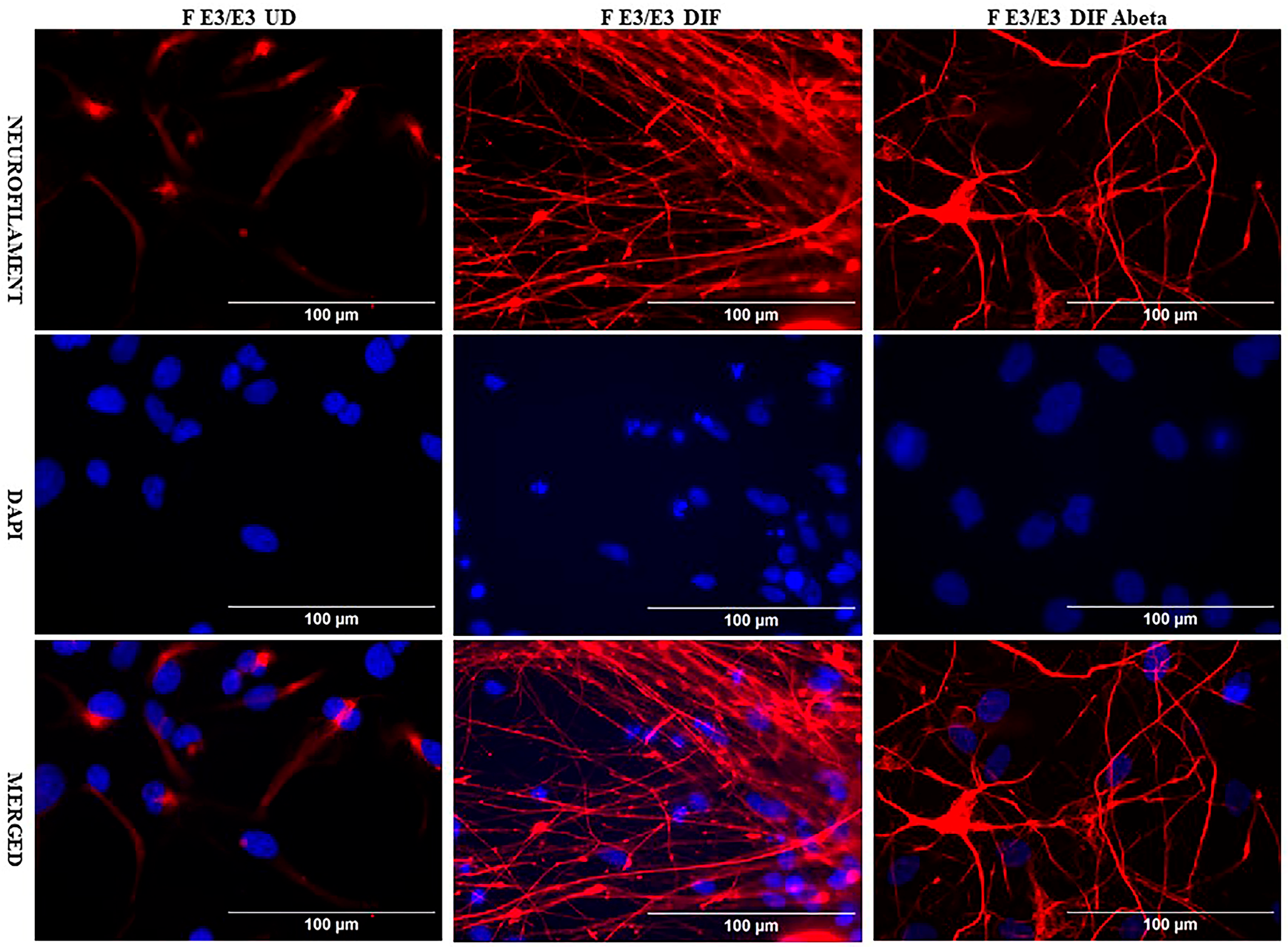 Ijms 26 09804 g002 Ijms 26 09804 g002