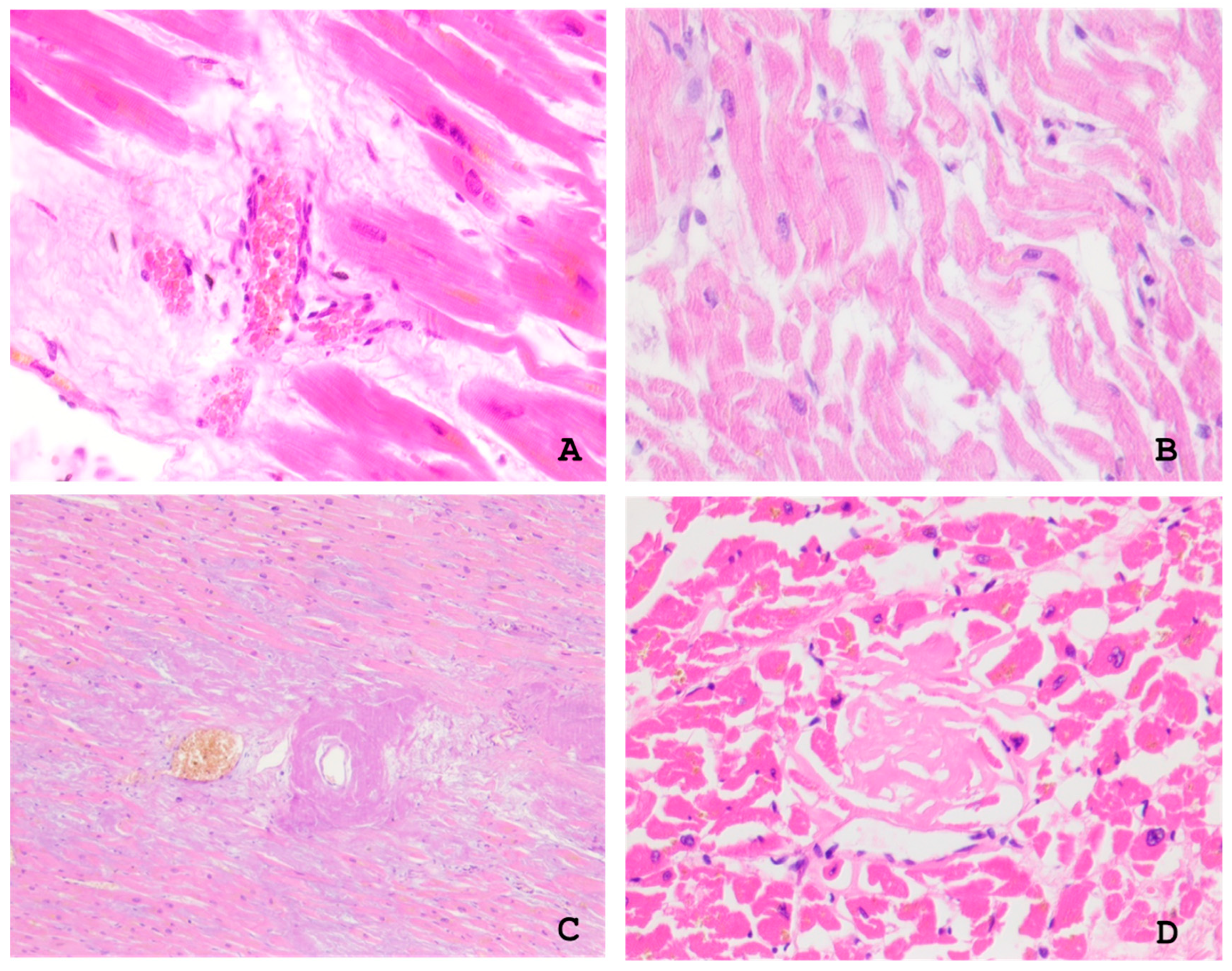 Ijms 26 09806 g001 Ijms 26 09806 g001