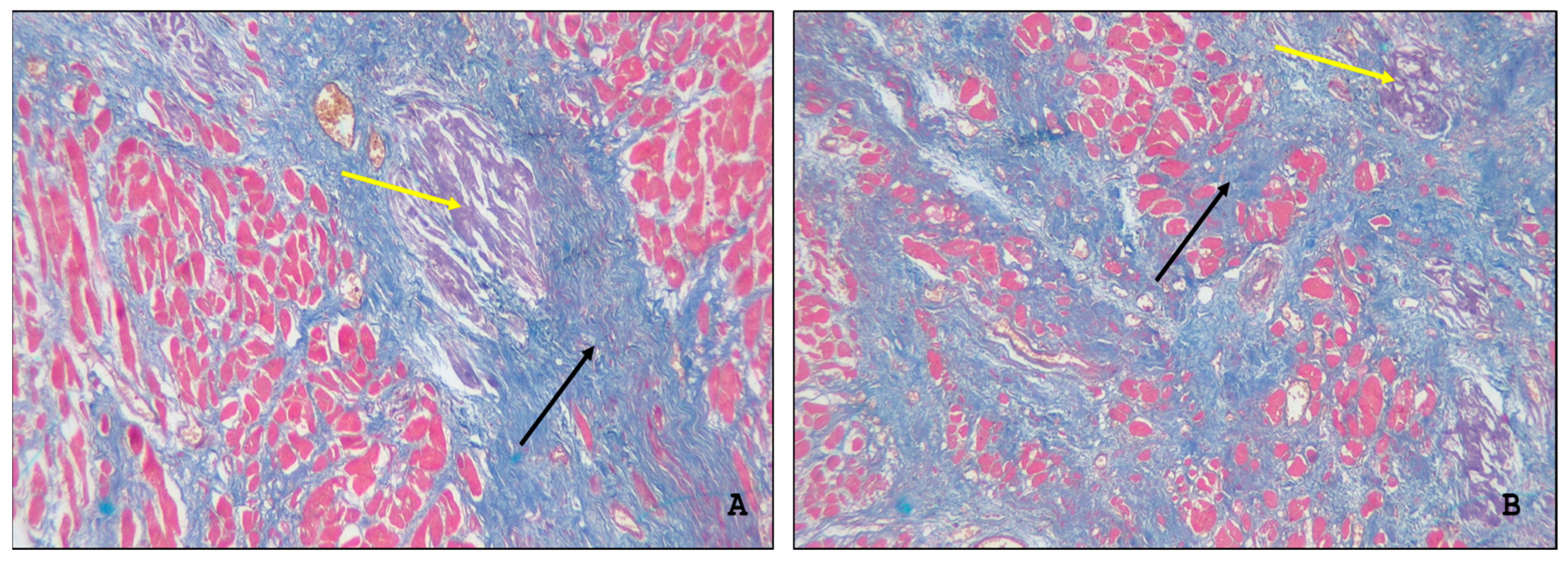 Ijms 26 09806 g003 Ijms 26 09806 g003