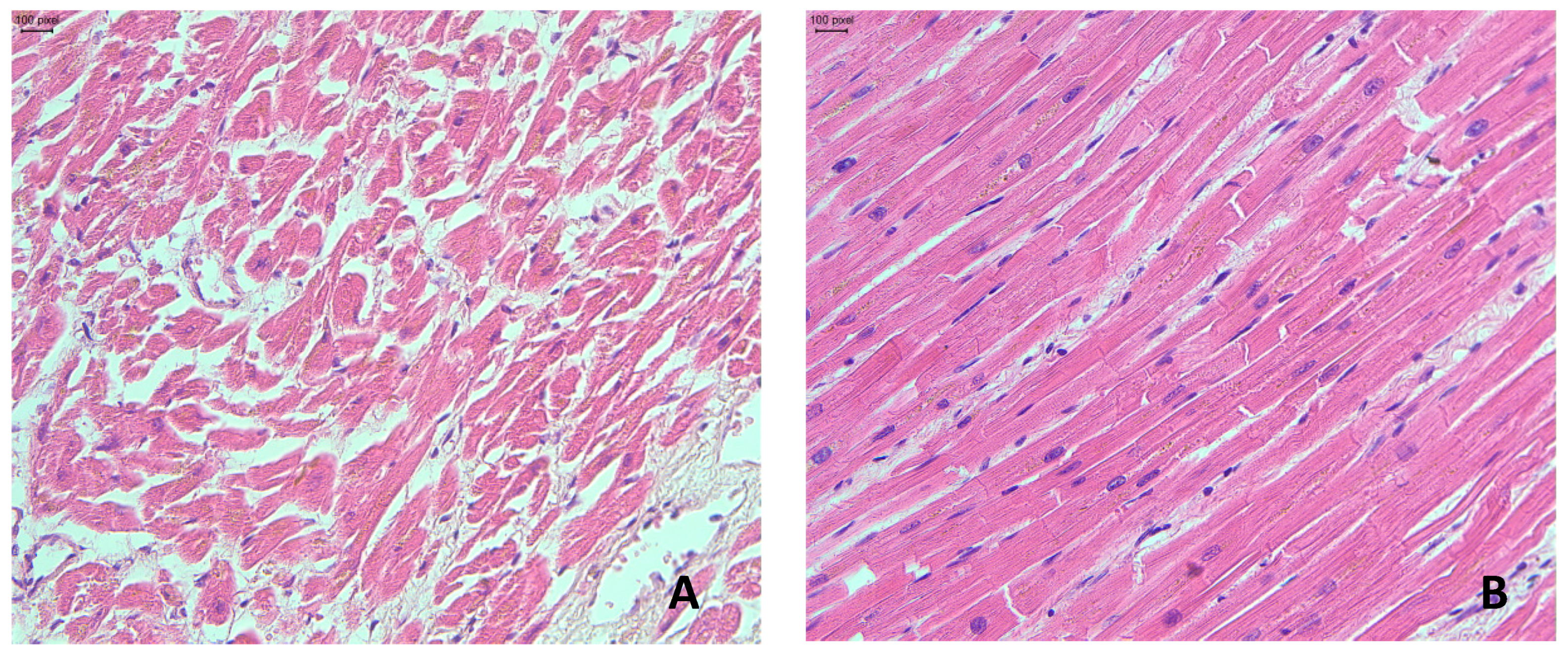 Ijms 26 09806 g004 Ijms 26 09806 g004