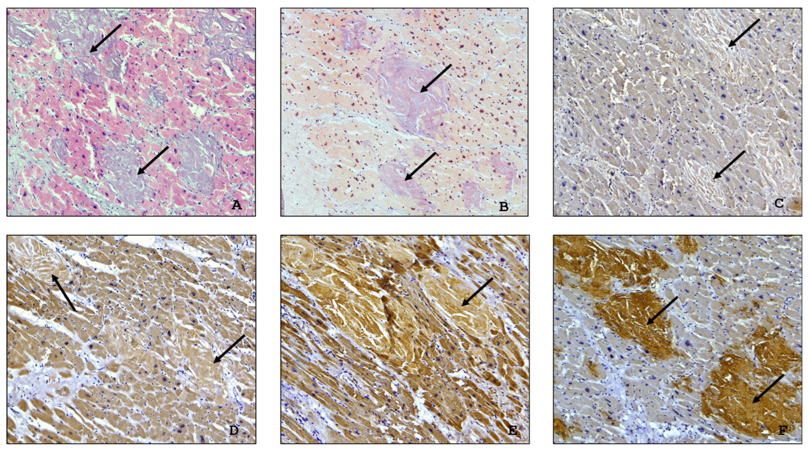 Ijms 26 09806 g005 Ijms 26 09806 g005