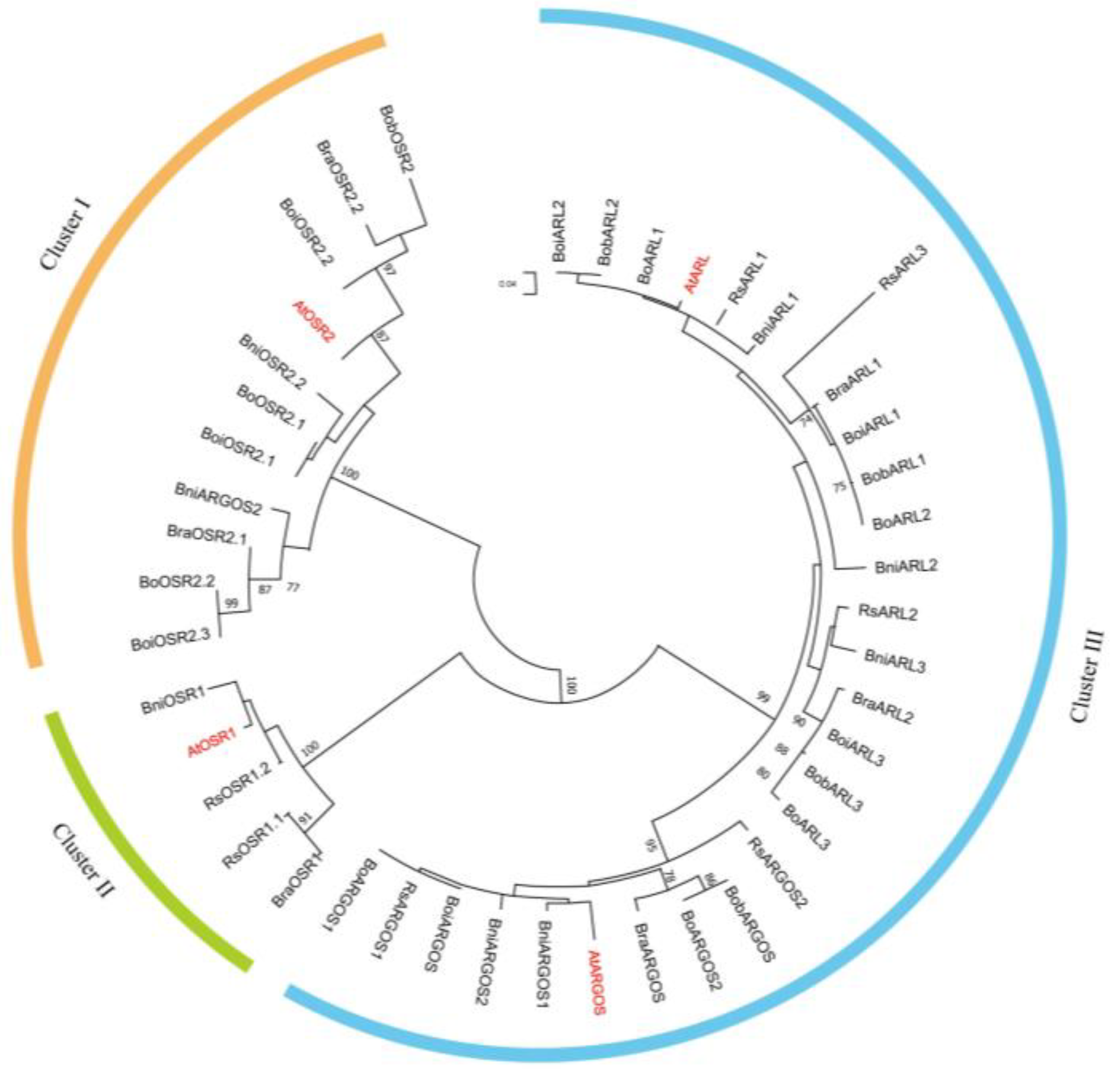 Ijms 26 09810 g001 Ijms 26 09810 g001