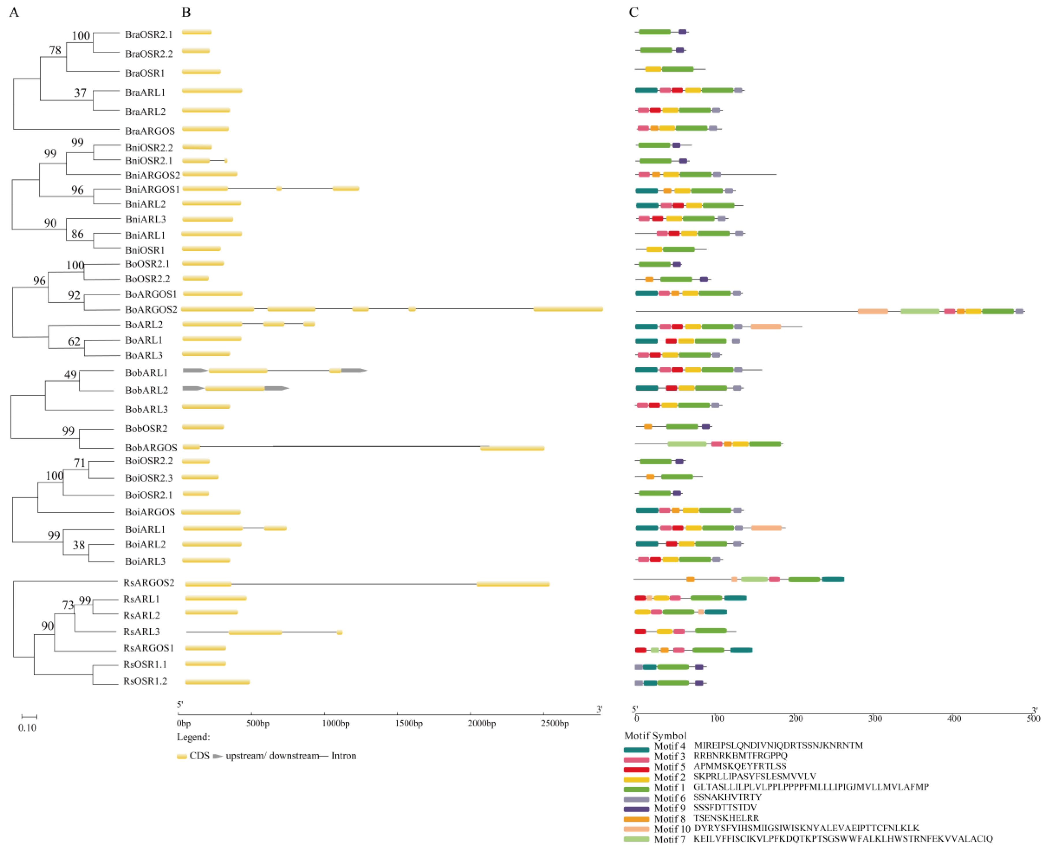 Ijms 26 09810 g002 Ijms 26 09810 g002
