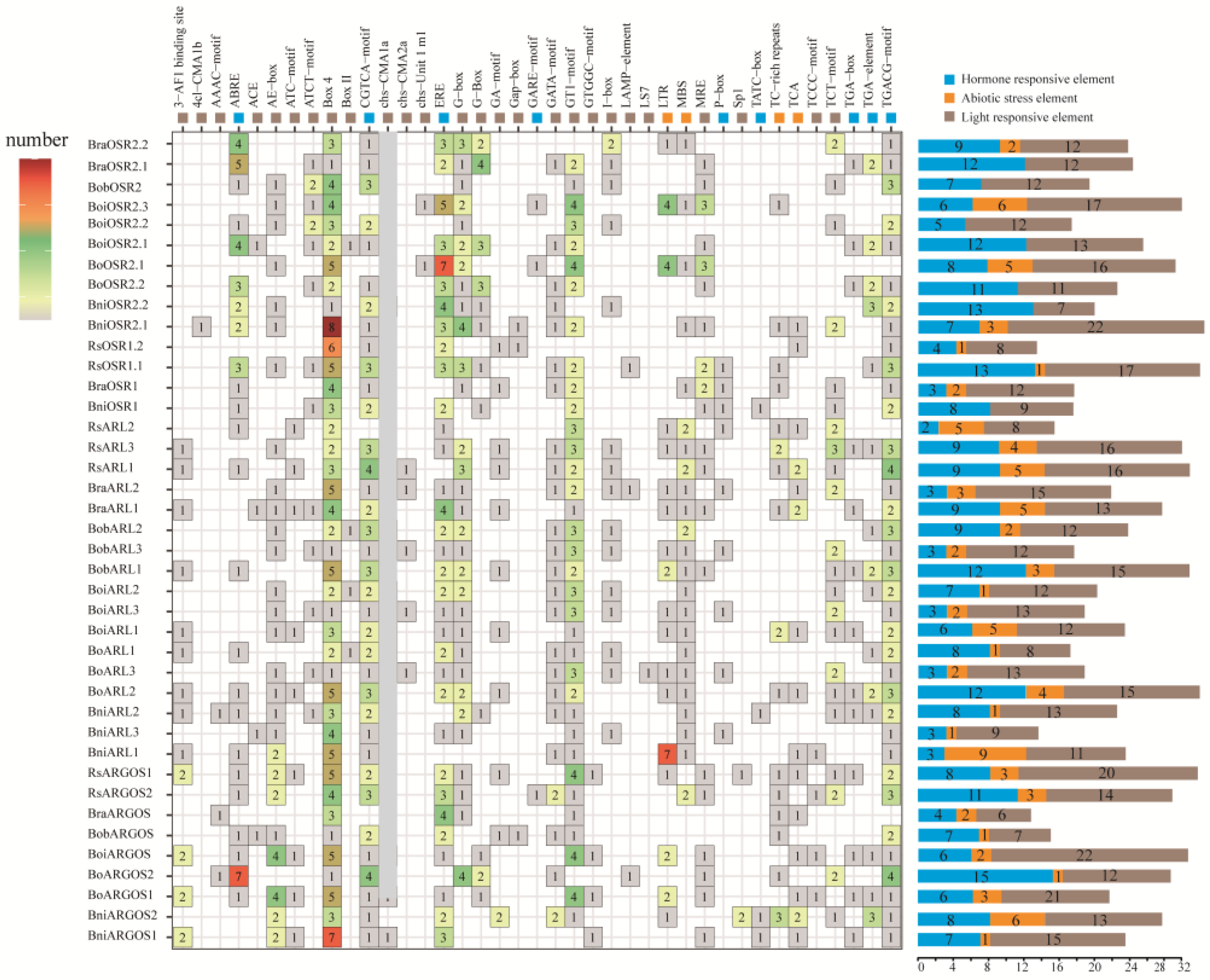 Ijms 26 09810 g003 Ijms 26 09810 g003