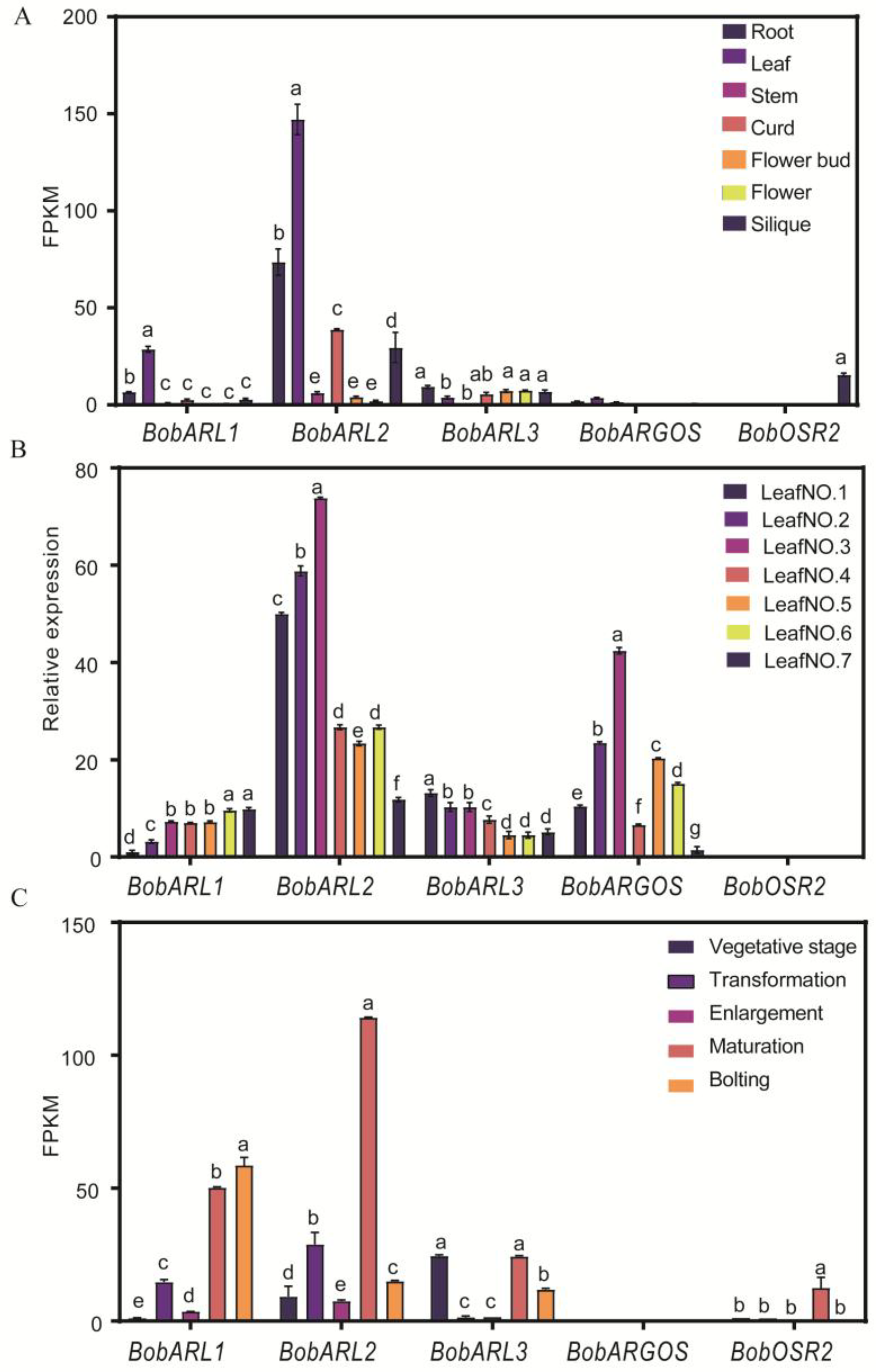 Ijms 26 09810 g005 Ijms 26 09810 g005