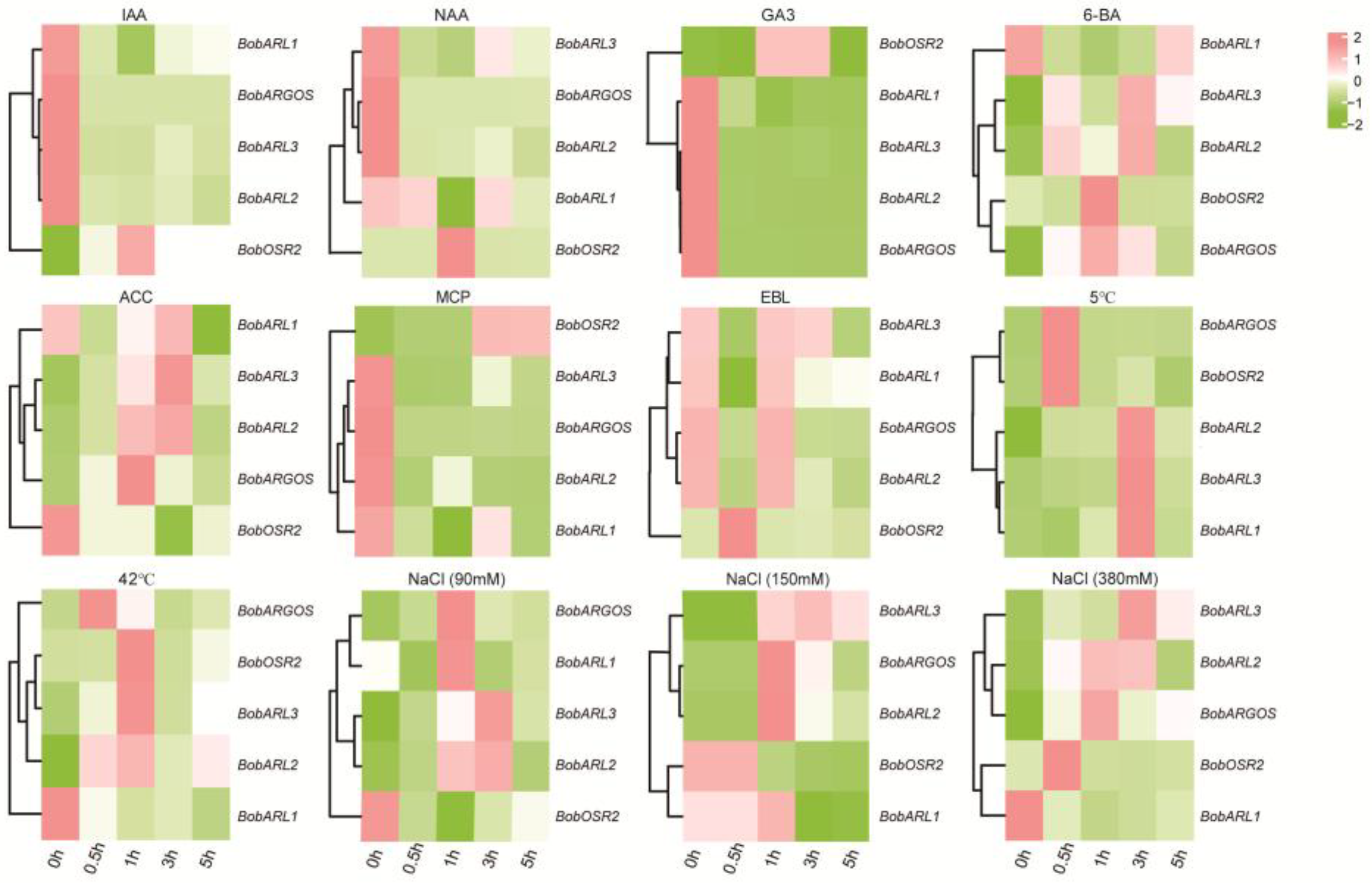 Ijms 26 09810 g006 Ijms 26 09810 g006