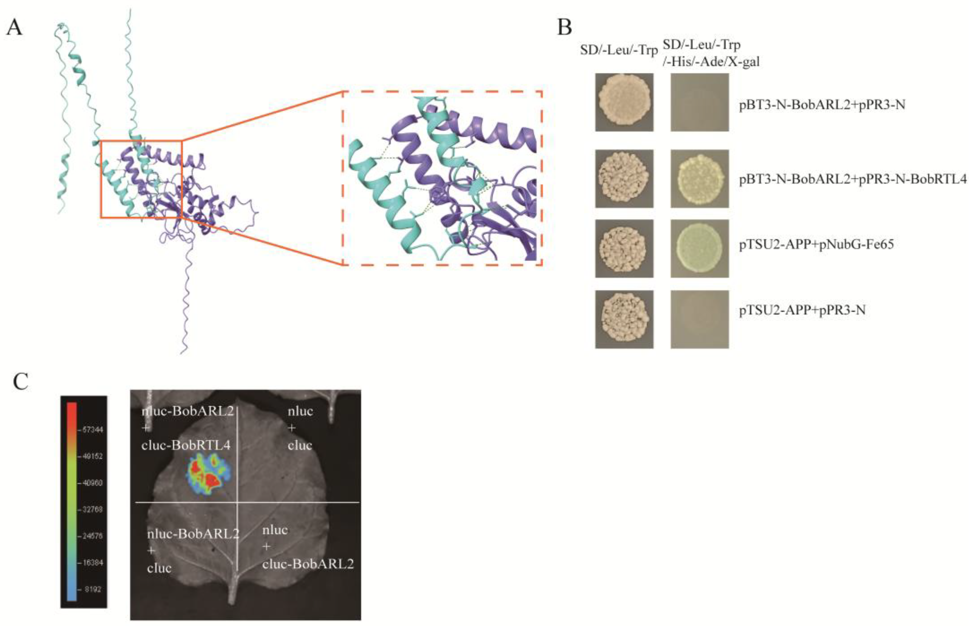 Ijms 26 09810 g009 Ijms 26 09810 g009