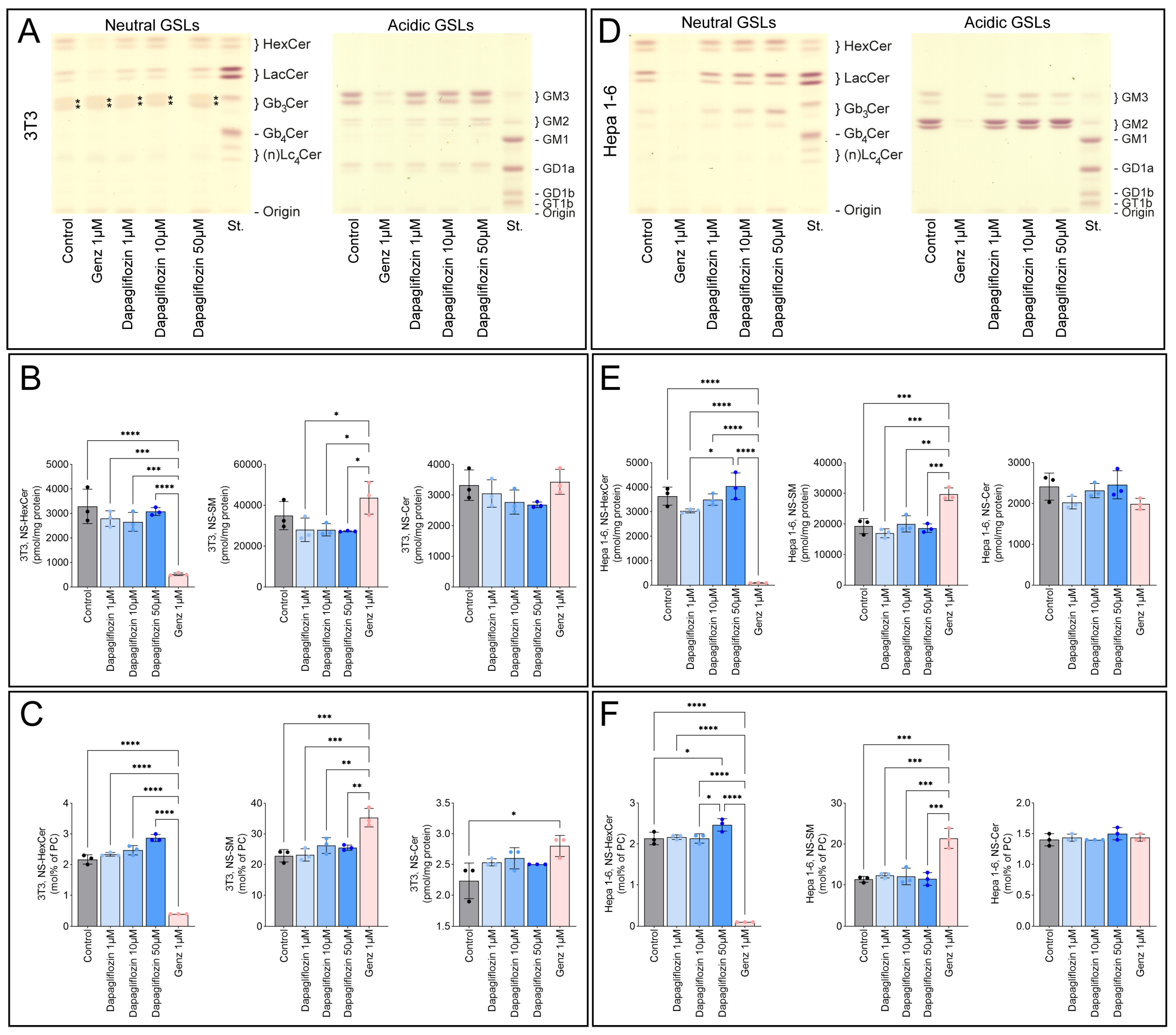 Ijms 26 09811 g005 Ijms 26 09811 g005