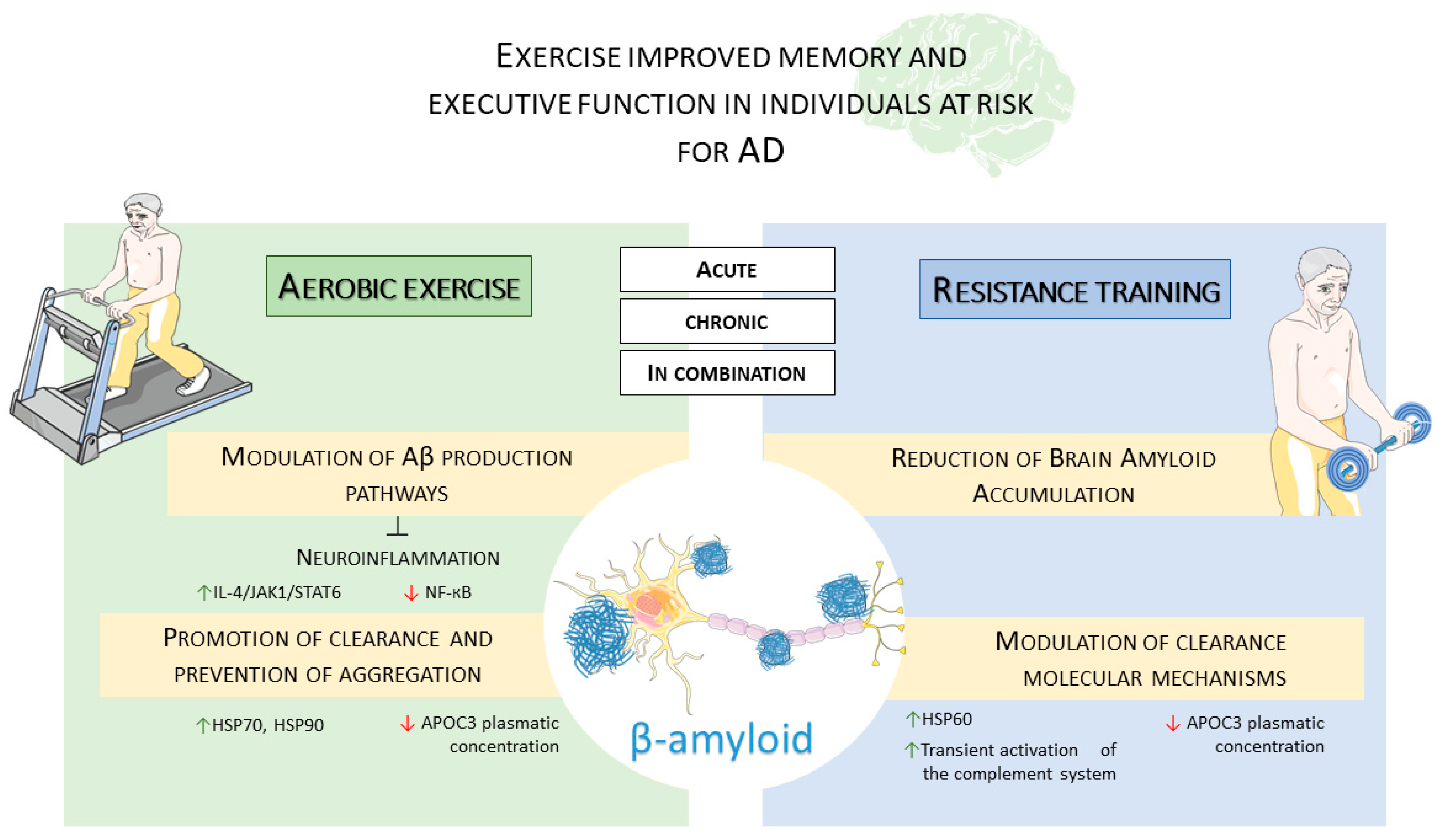 Ijms 26 09816 g003 Ijms 26 09816 g003