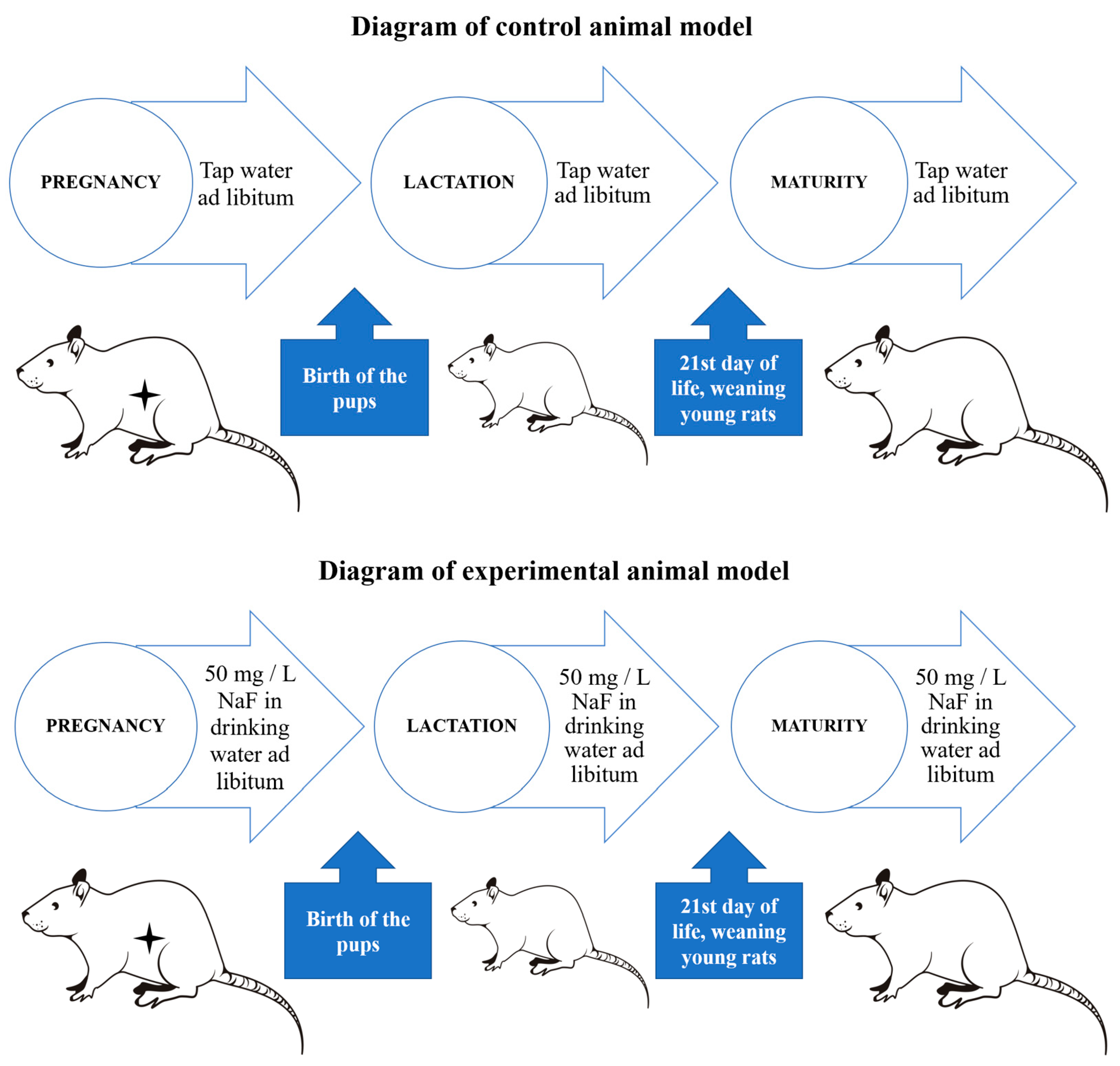 Ijms 26 09817 g005 Ijms 26 09817 g005