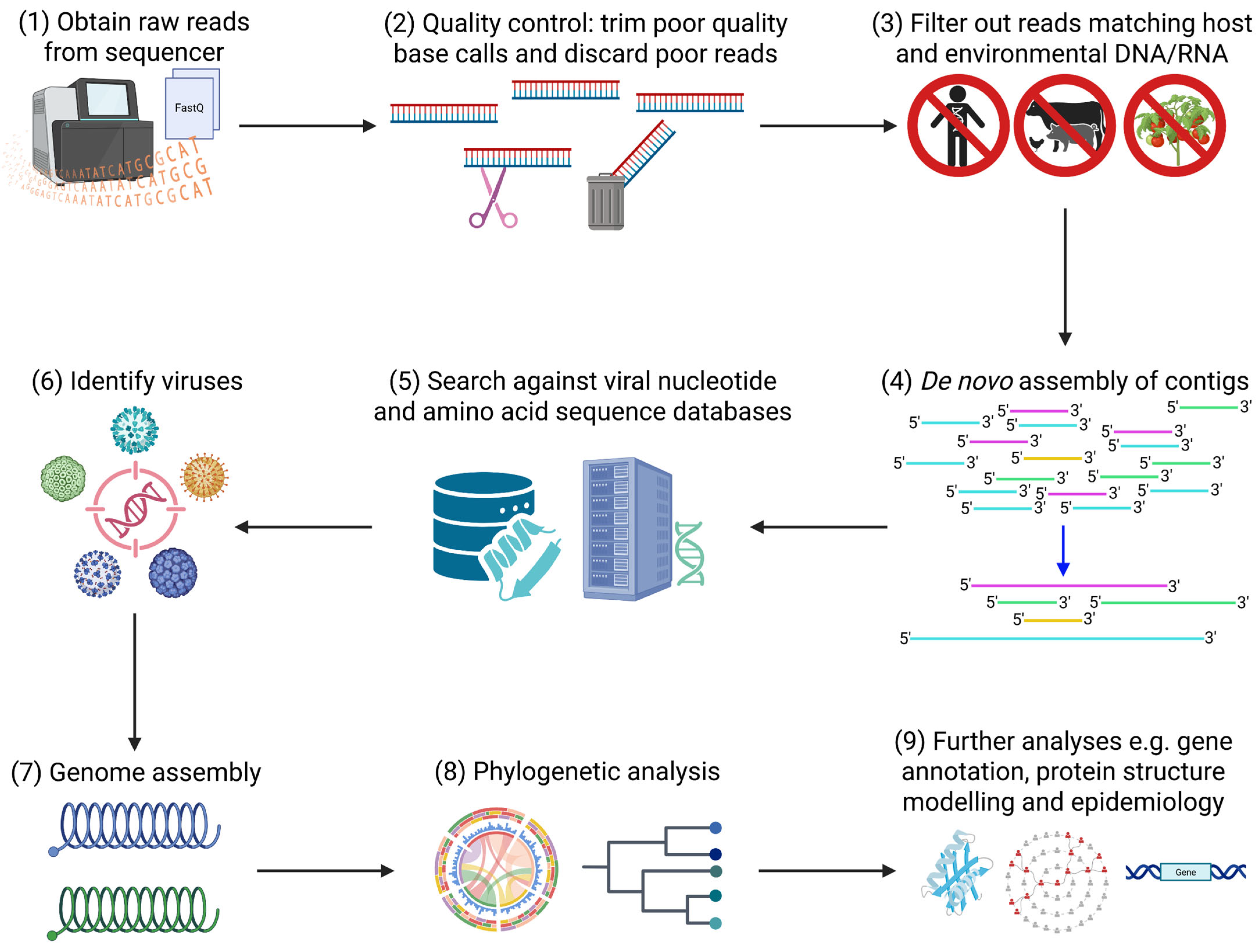 Ijms 26 09831 g004 Ijms 26 09831 g004