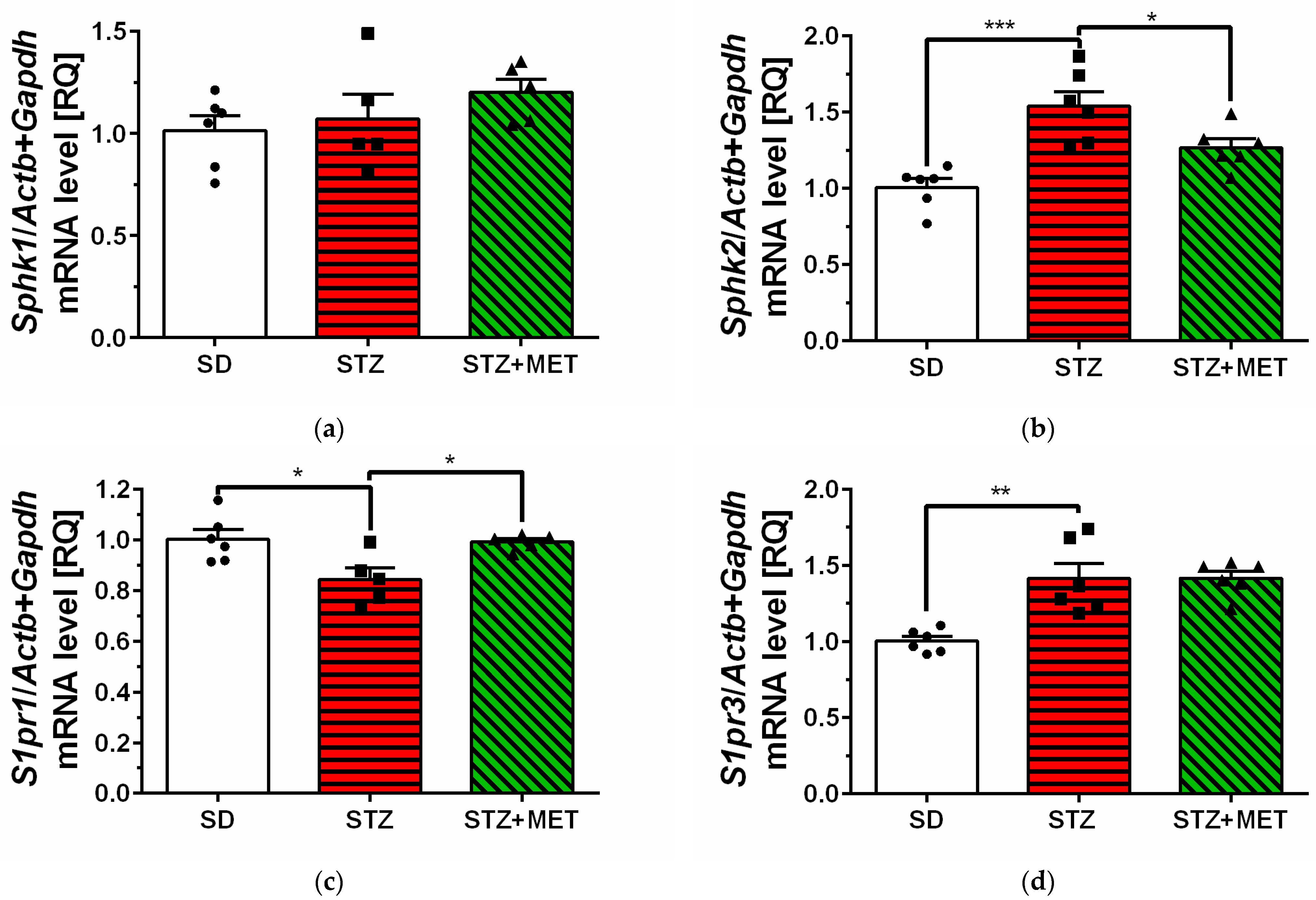 Ijms 26 09832 g002 Ijms 26 09832 g002