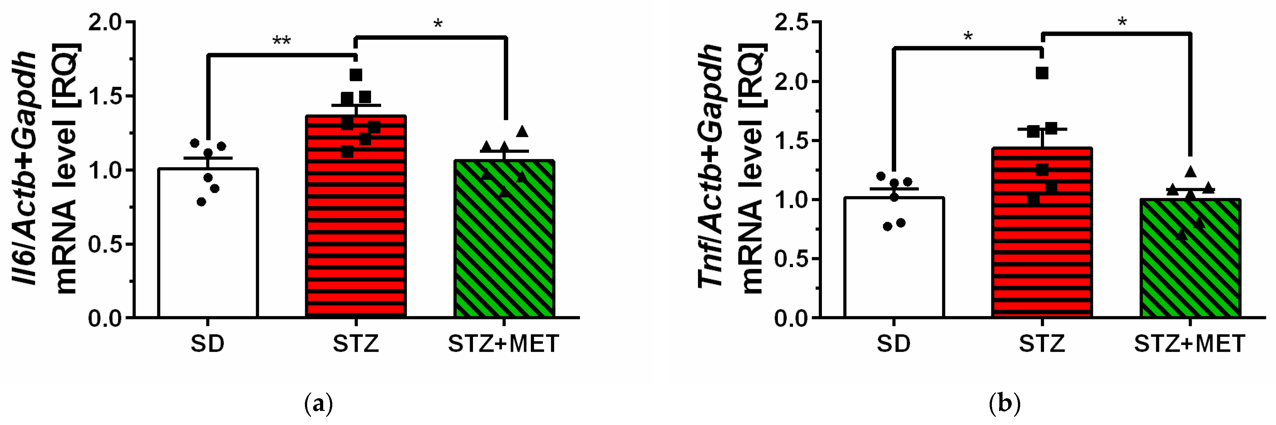 Ijms 26 09832 g003 Ijms 26 09832 g003