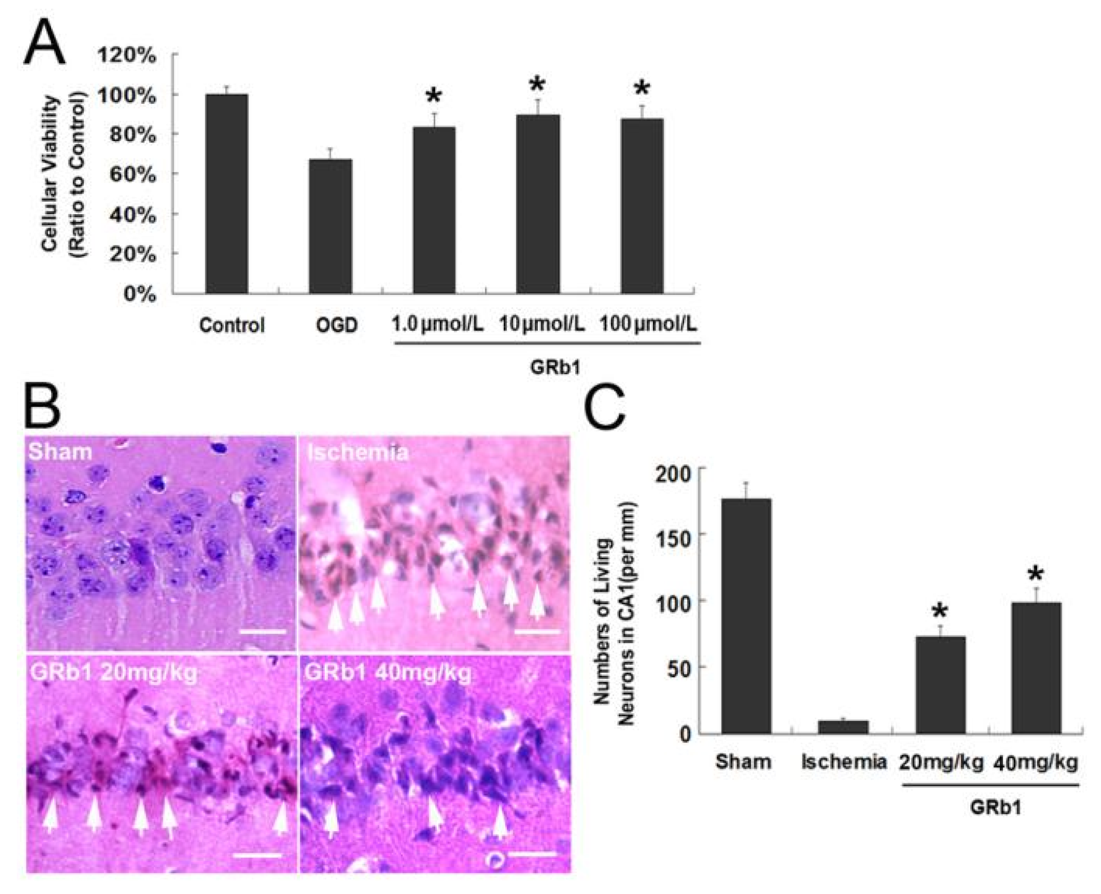 Ijms 26 09839 g001 Ijms 26 09839 g001