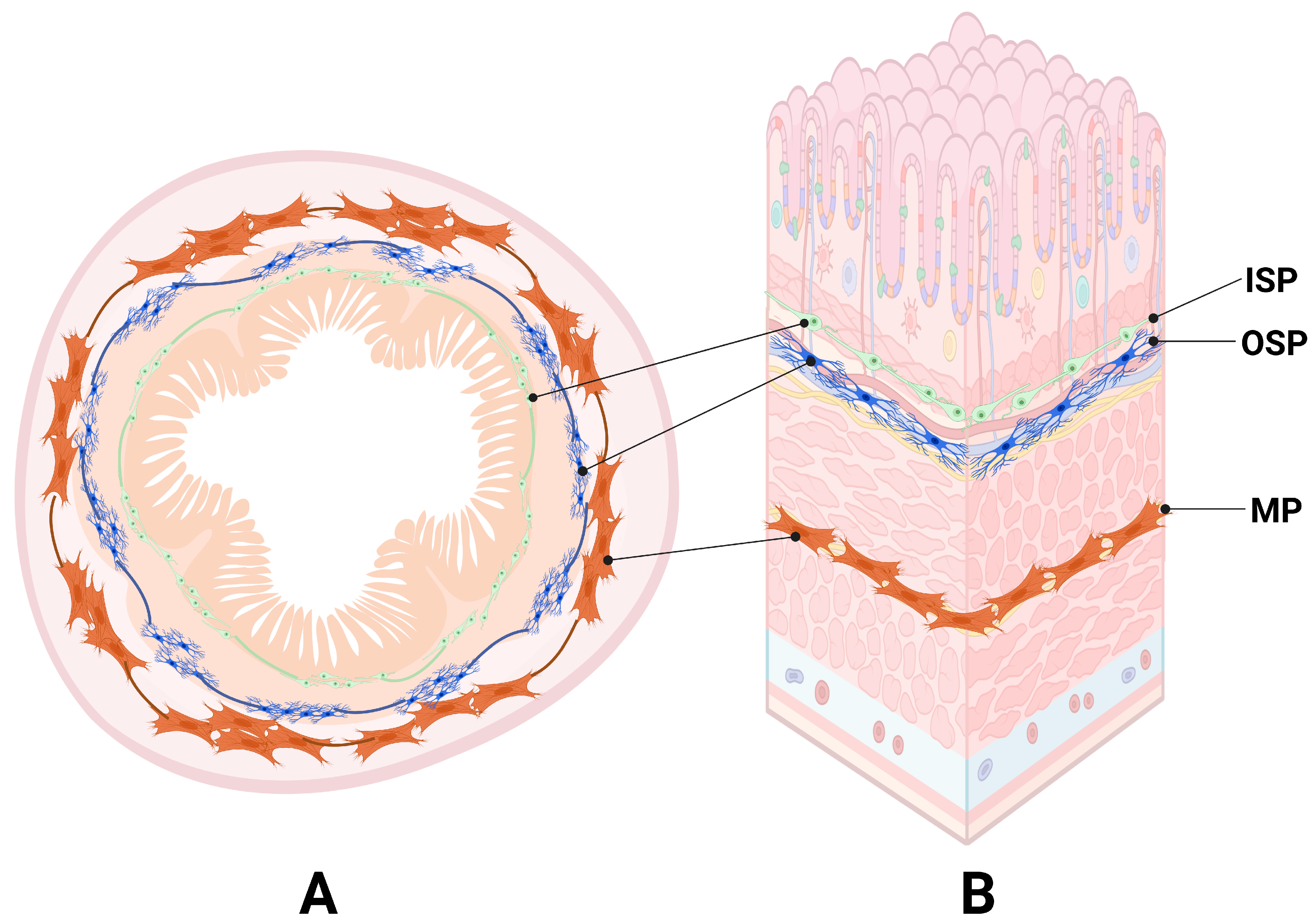 Ijms 26 09840 g001 Ijms 26 09840 g001
