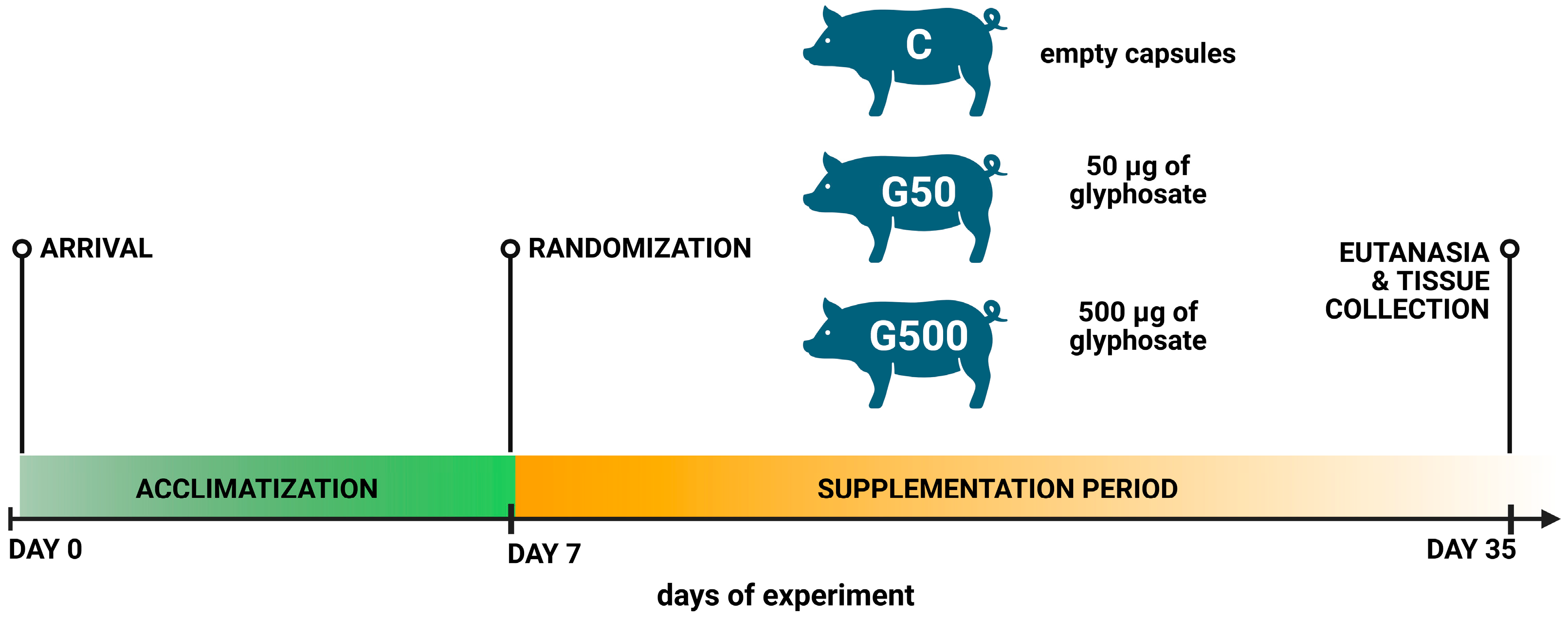 Ijms 26 09840 g008 Ijms 26 09840 g008