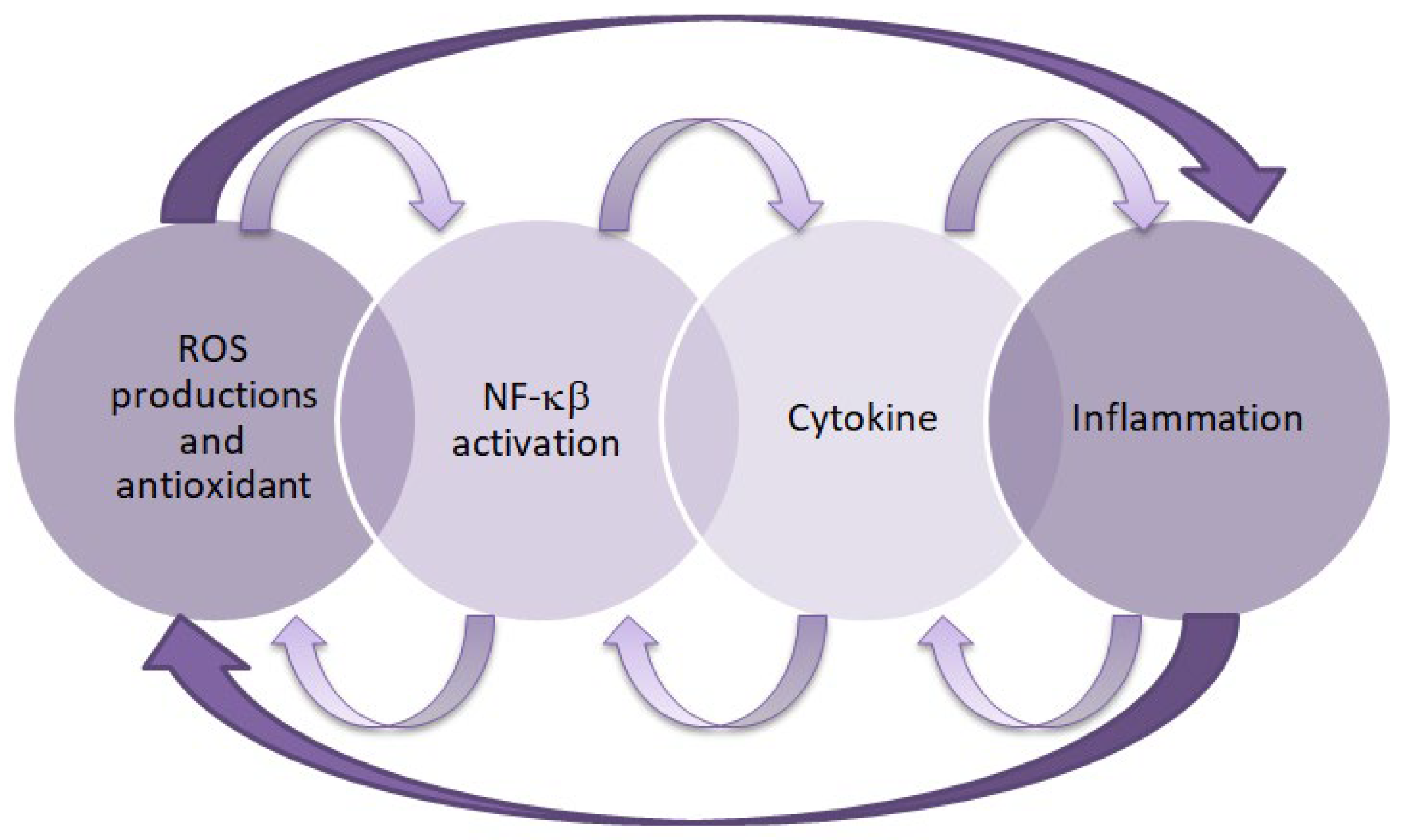 Ijms 26 09862 g001 Ijms 26 09862 g001