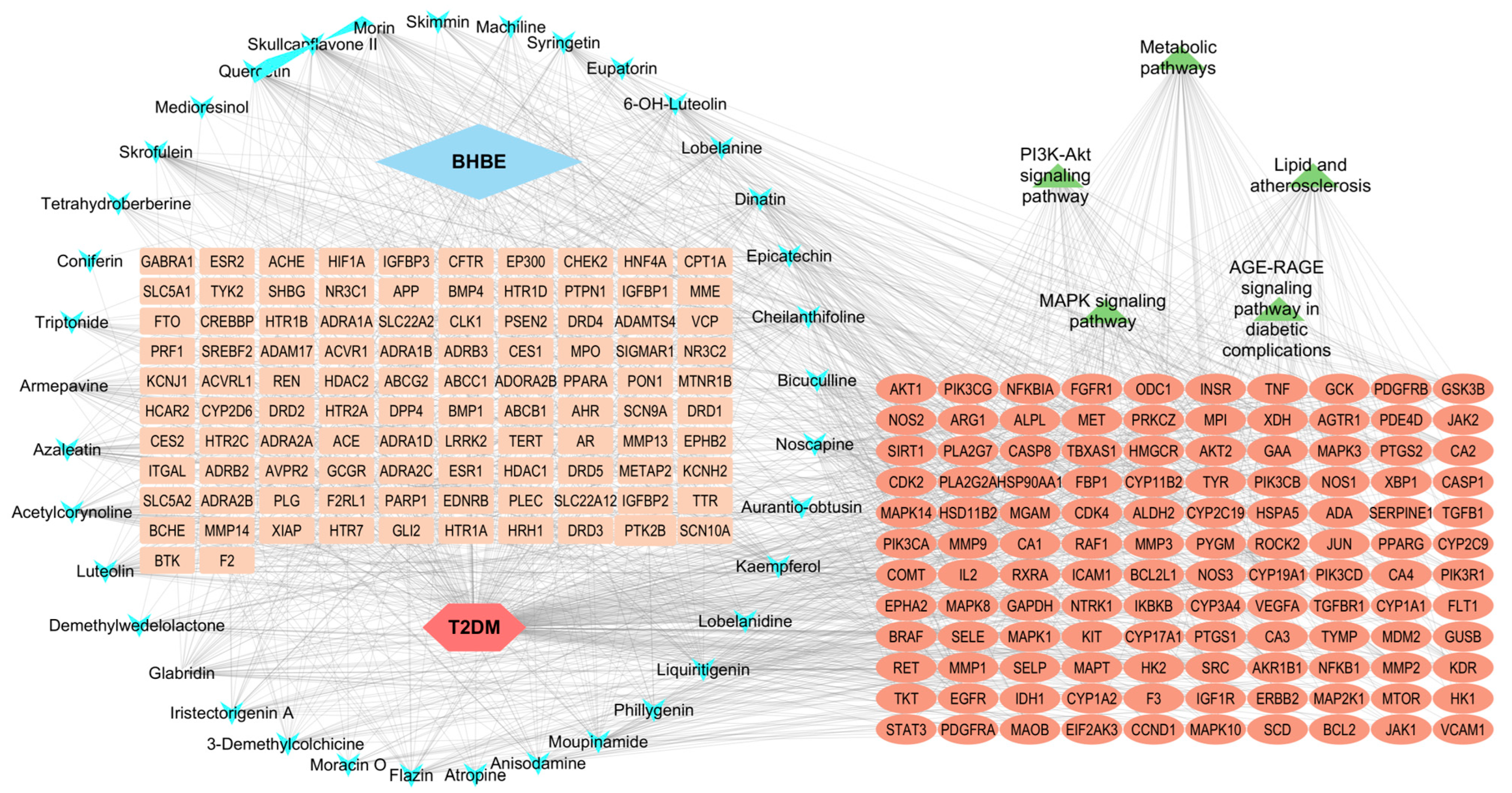 Ijms 26 09866 g004 Ijms 26 09866 g004