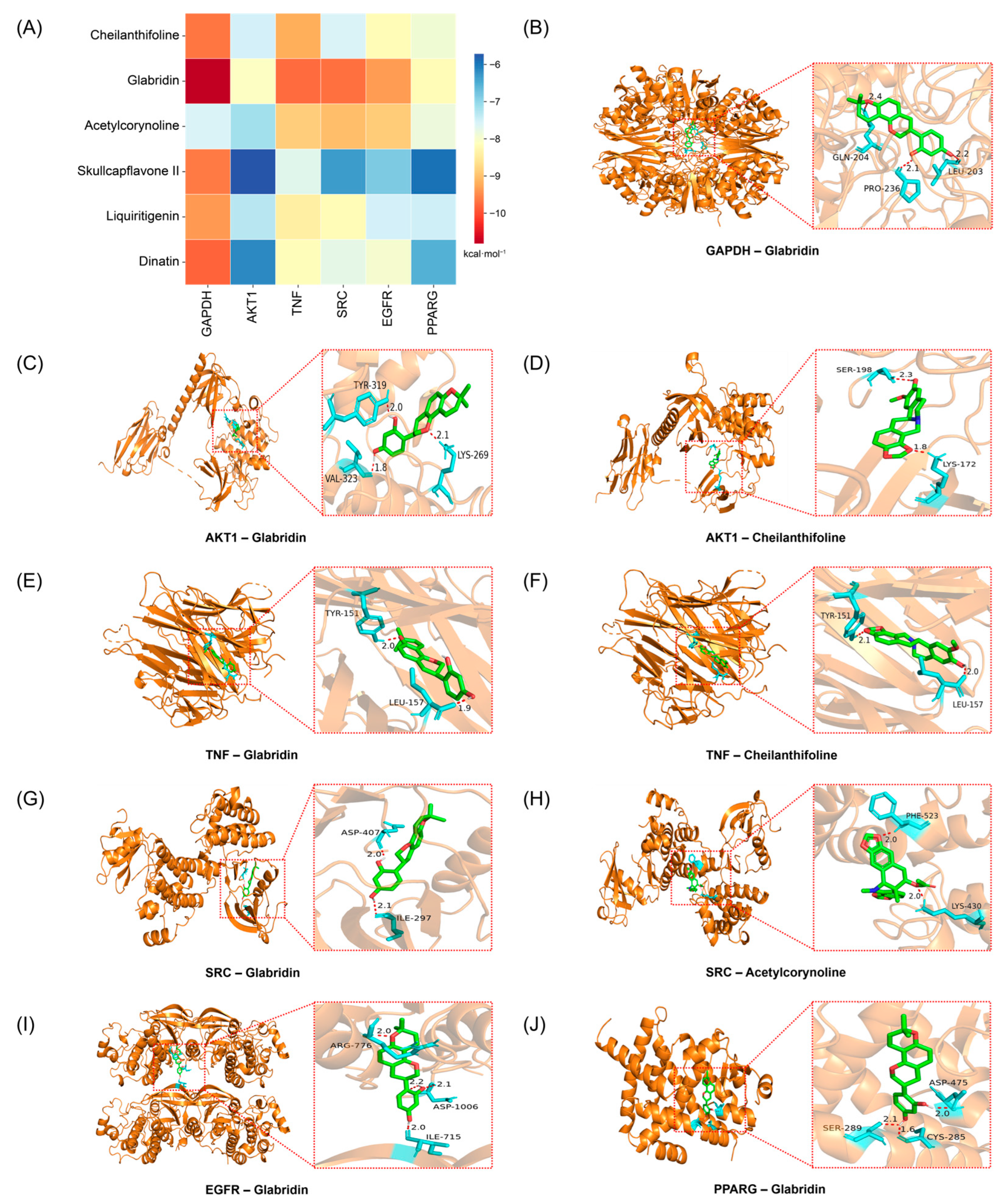 Ijms 26 09866 g005 Ijms 26 09866 g005