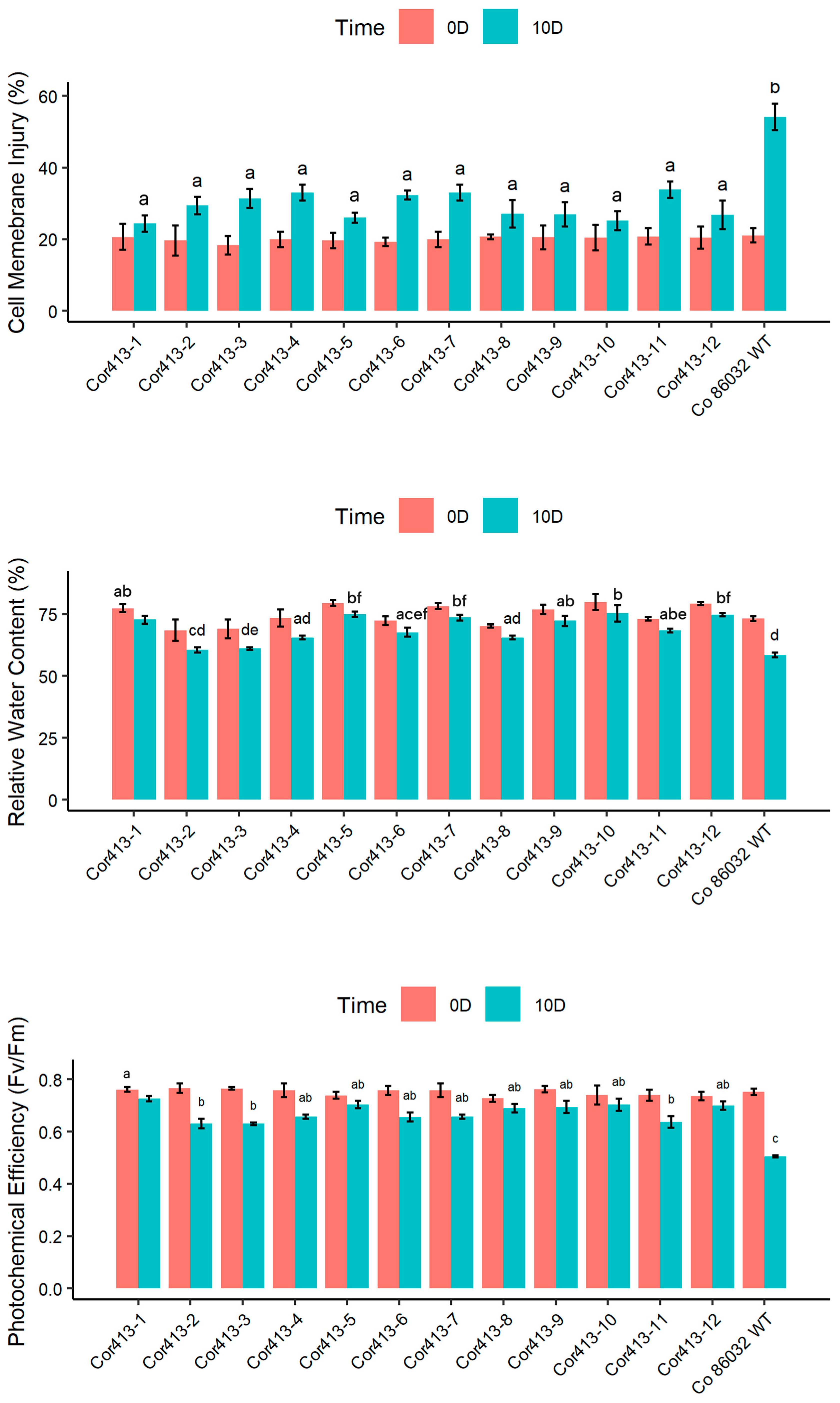 Ijms 26 09868 g004 Ijms 26 09868 g004