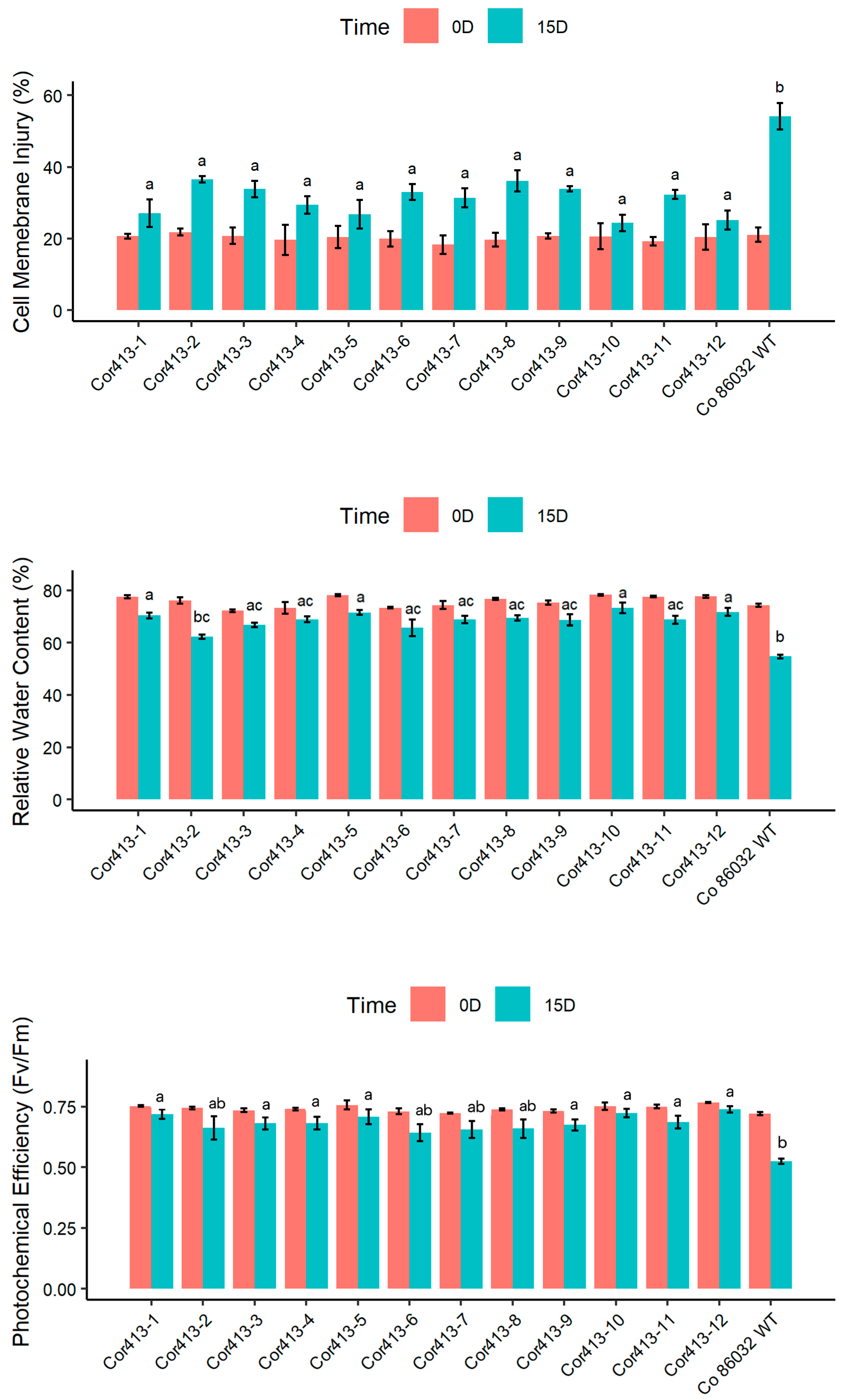 Ijms 26 09868 g005 Ijms 26 09868 g005