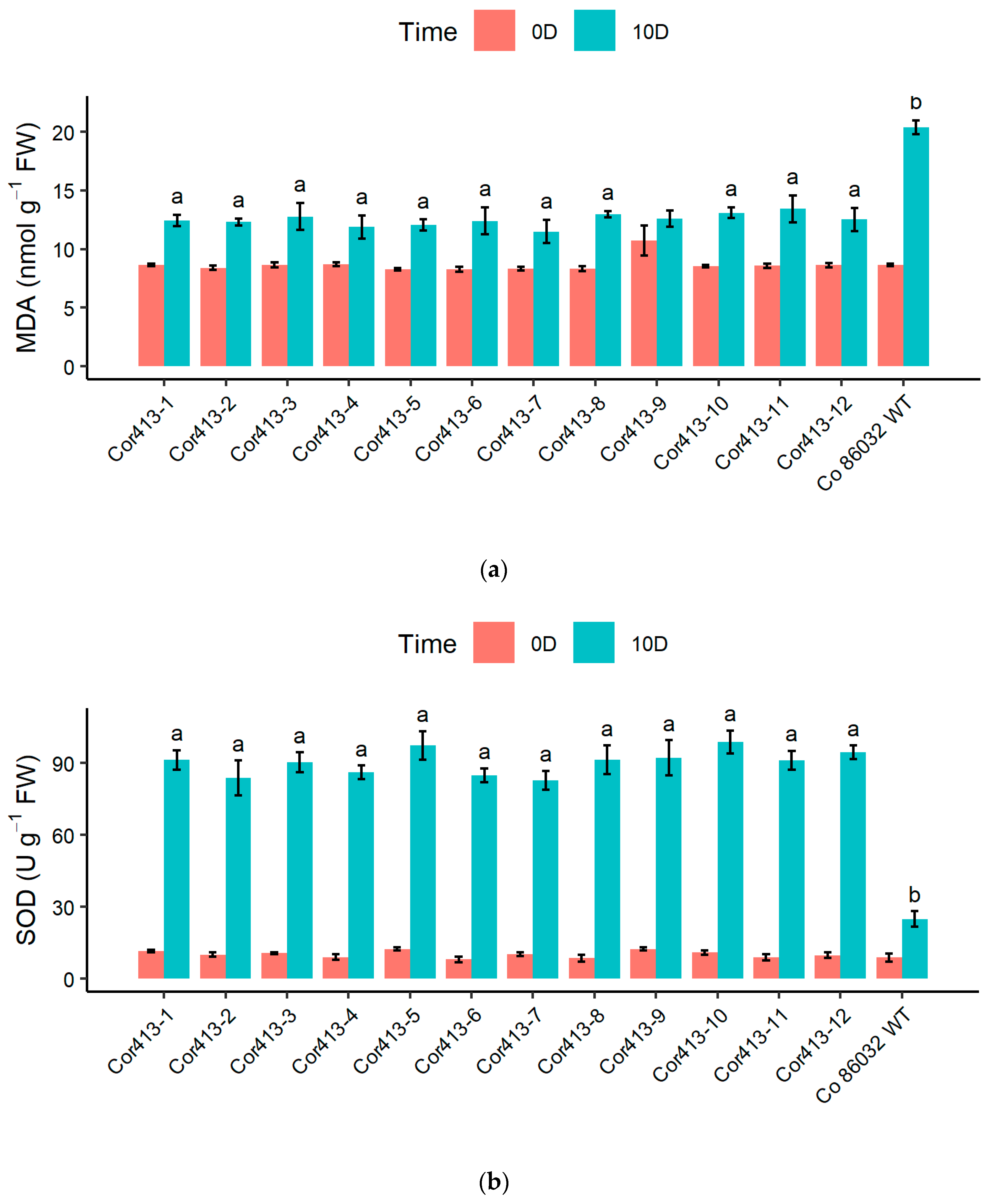 Ijms 26 09868 g007a Ijms 26 09868 g007a