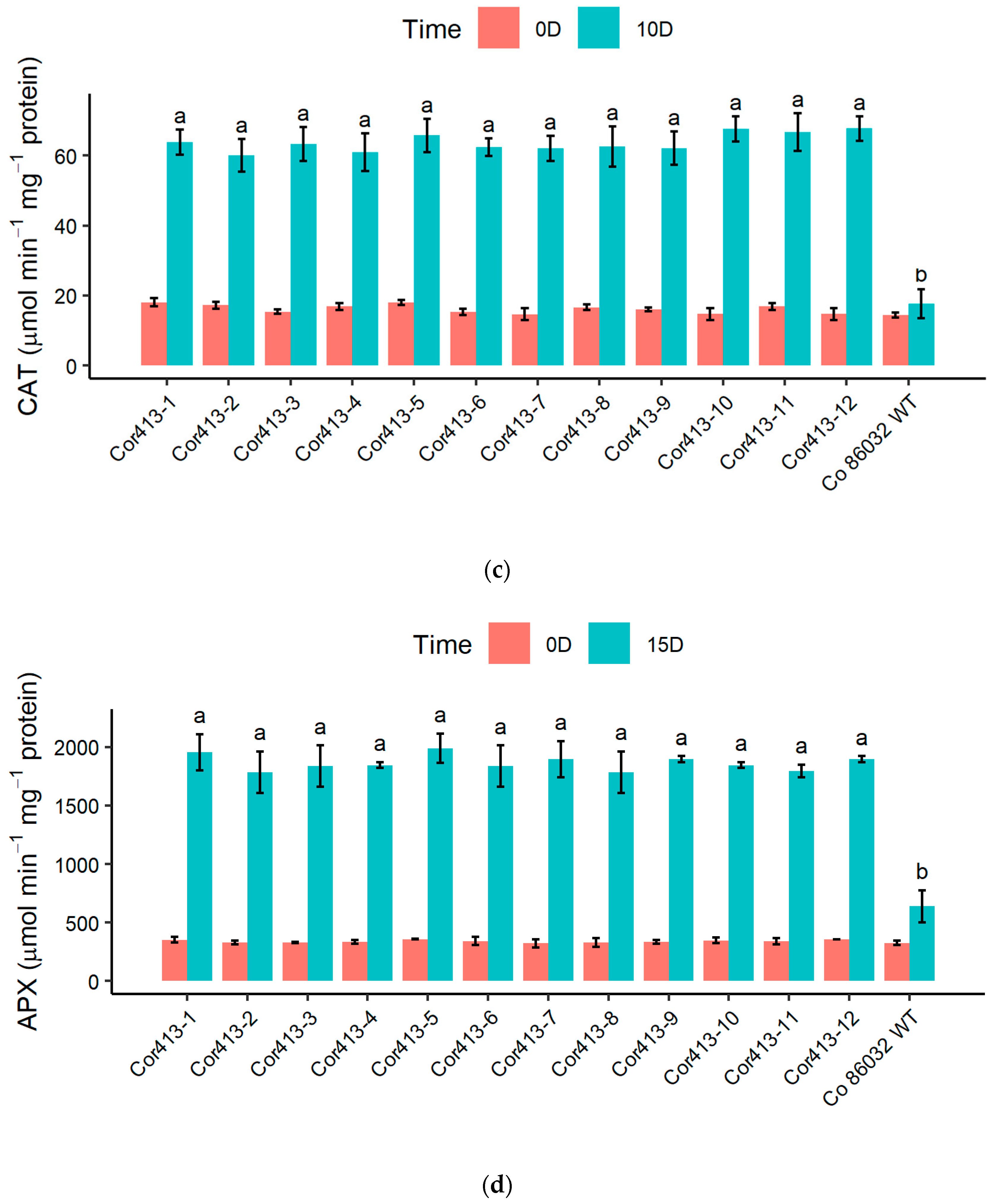 Ijms 26 09868 g007b Ijms 26 09868 g007b