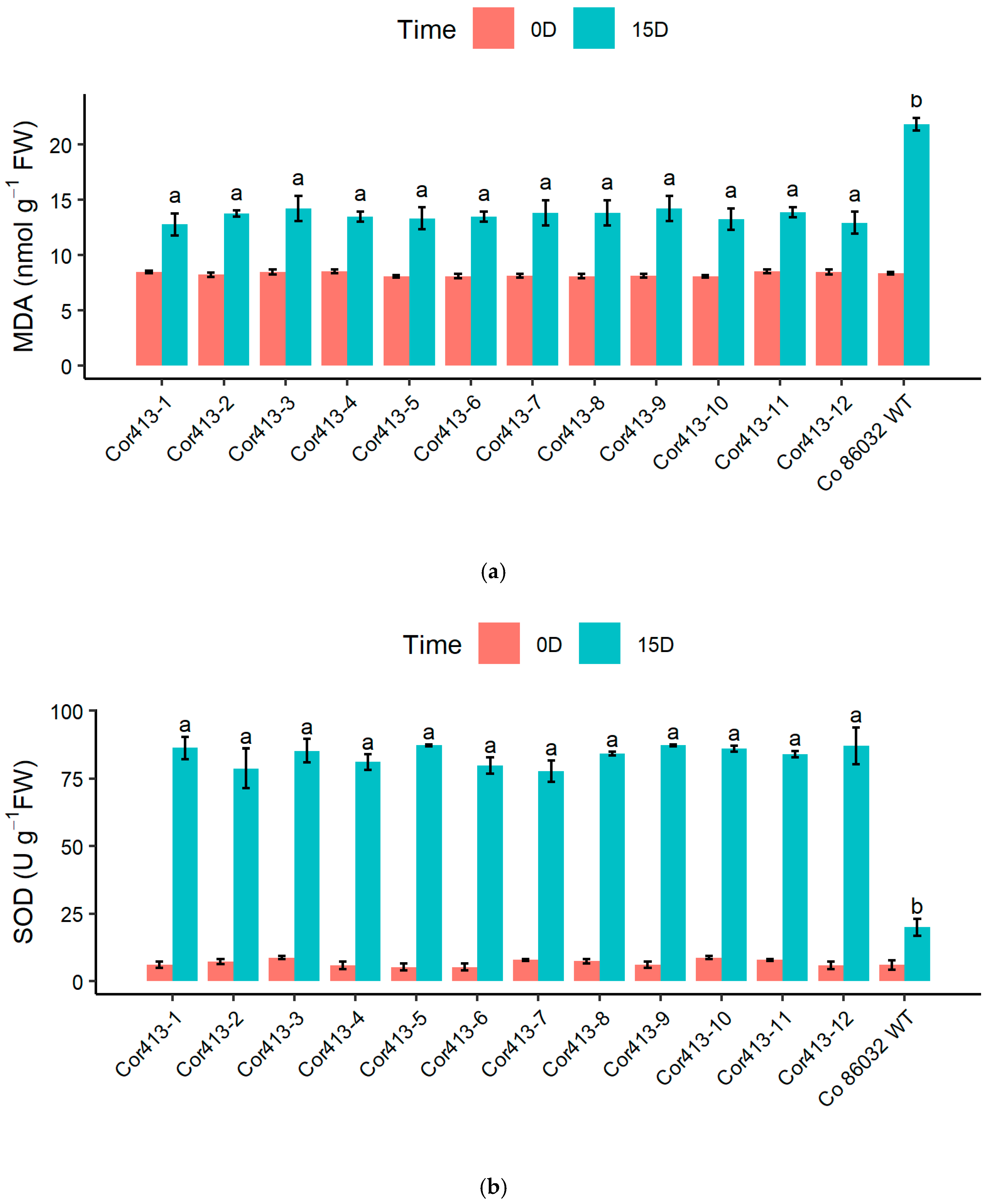 Ijms 26 09868 g008a Ijms 26 09868 g008a